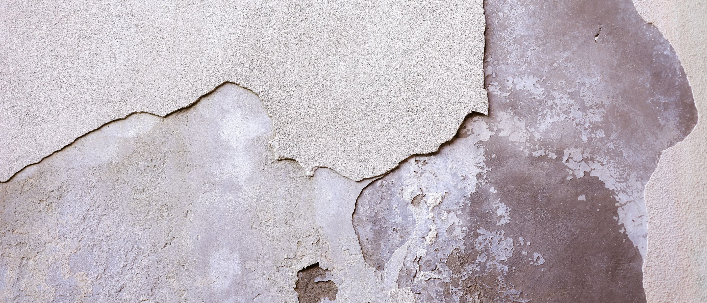 Wallpapering in Waddon — woodwork brushed to a crisp, smooth line