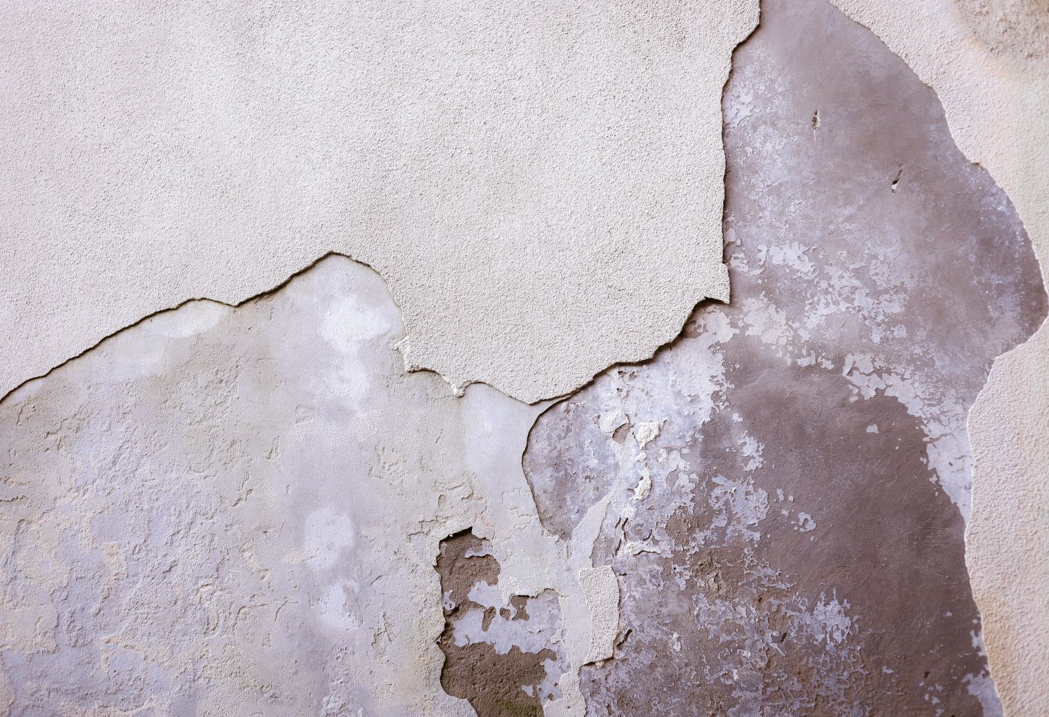 Plastering and Skimming in Bow — walls rolled to an even, flat finish