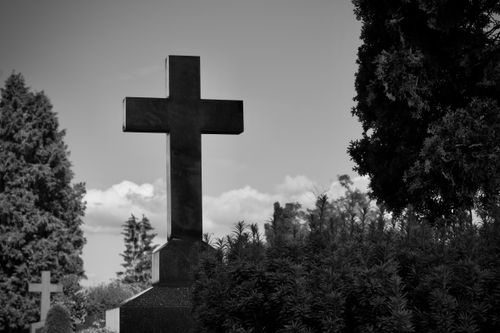 Free Serene black and white image of a cemetery cross amidst lush trees. Stock Photo