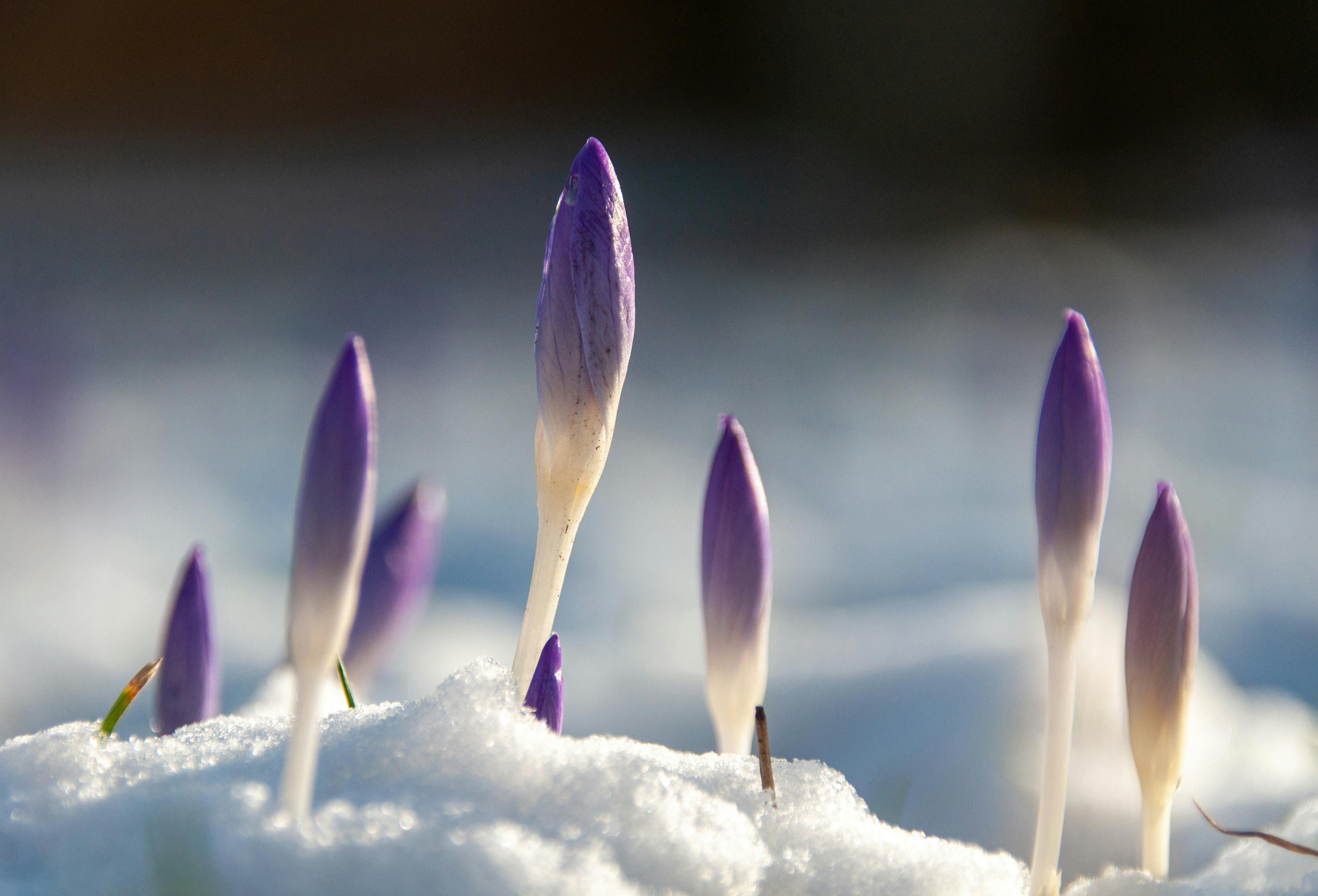 探索青春新態度：跟上生活的浪潮，讓心靈覺醒