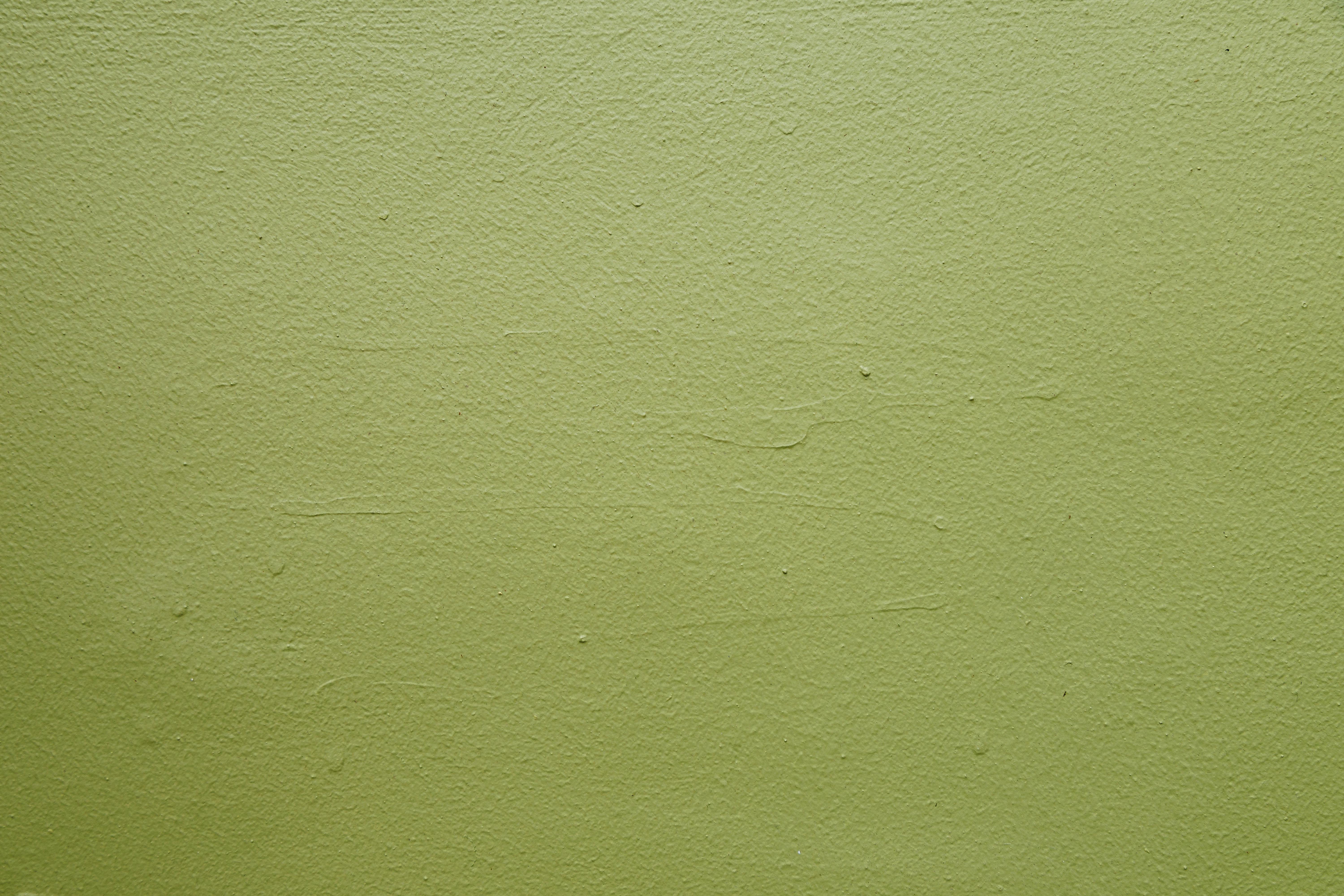 Kostenlos Nahaufnahme einer grünen, strukturierten Wand, perfekt für Hintergründe und Designprojekte. Stock-Foto