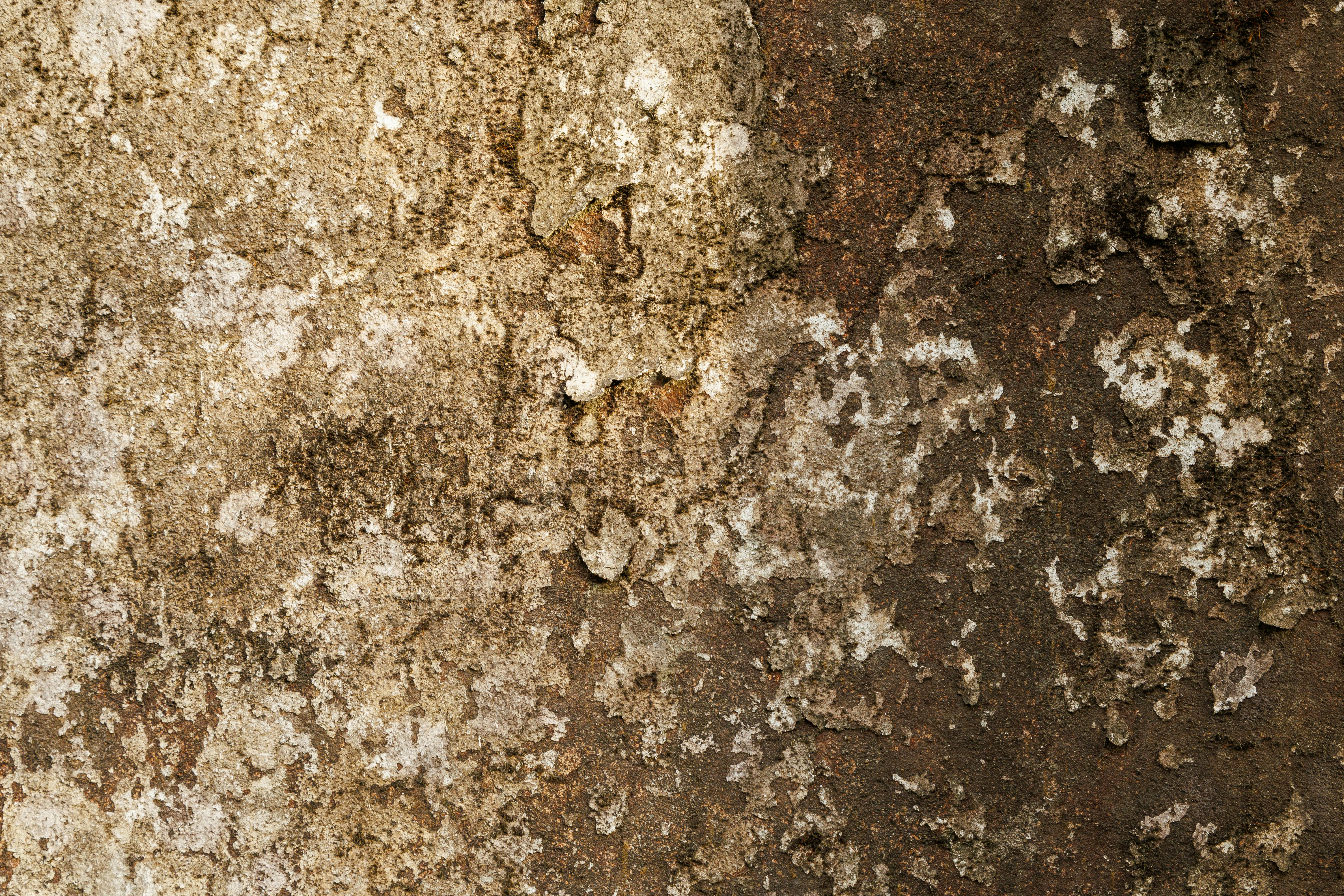 無料 自然な質感と土っぽい色調が特徴の、背景に最適な風化した壁面のクローズアップ。 写真素材