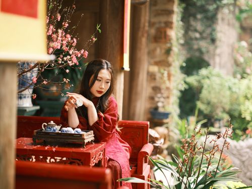 Free Elegant woman sipping tea in a peaceful, traditional outdoor garden setting with spring blossoms. Stock Photo