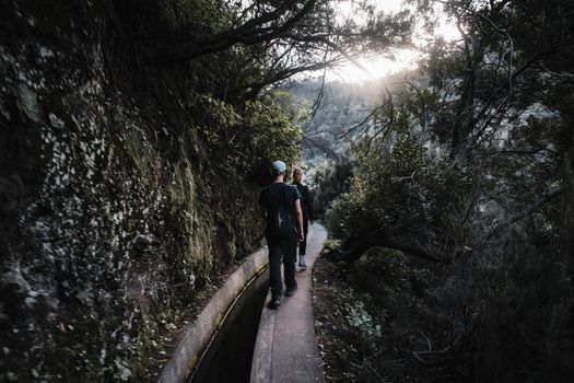 Levada hike through laurel forest — Madeira