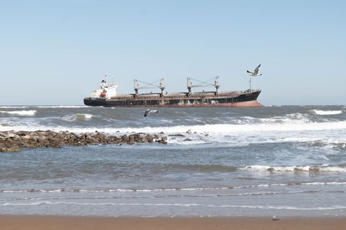 Free A large cargo ship sails the ocean waves as seagulls fly nearby. Stock Photo