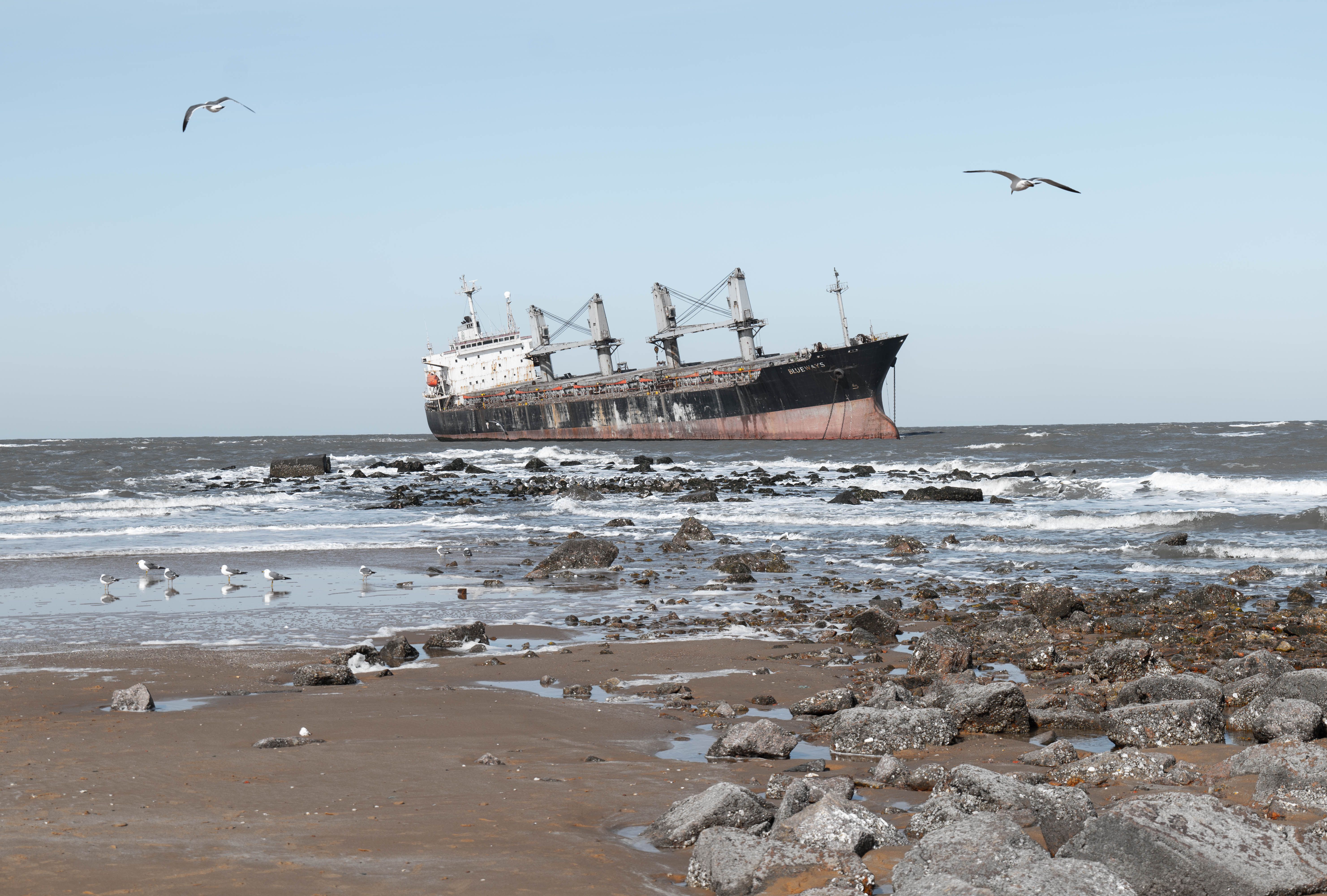 Abandoned Cargo Ship on Rocky Seashore · Free Stock Photo