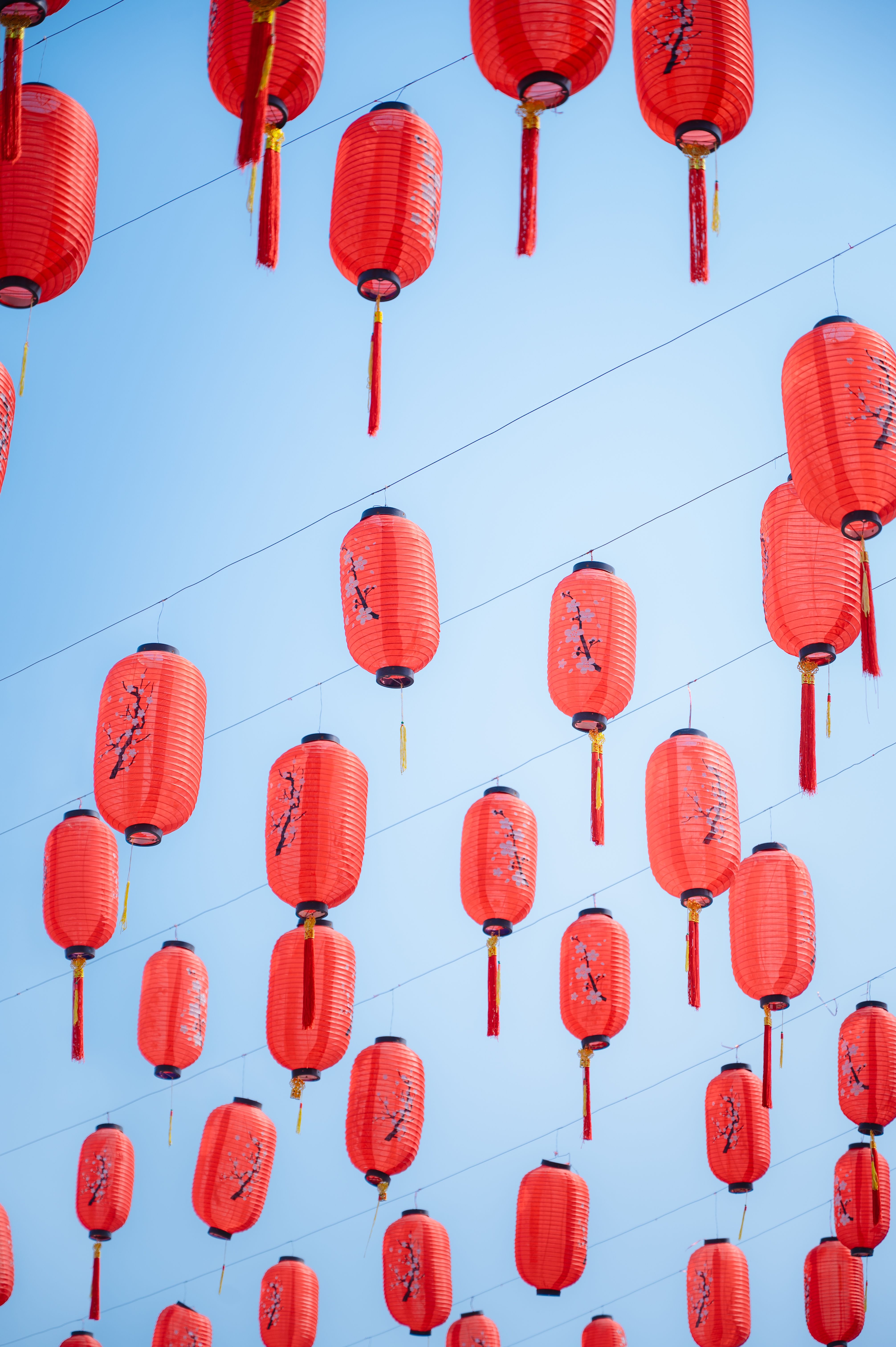 Red Chinese Lanterns Hanging Against Blue Sky · Free Stock Photo