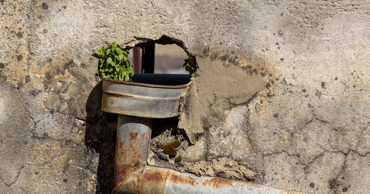 古いコンクリートの壁から突き出たさびた排水管と、穴から生えた草