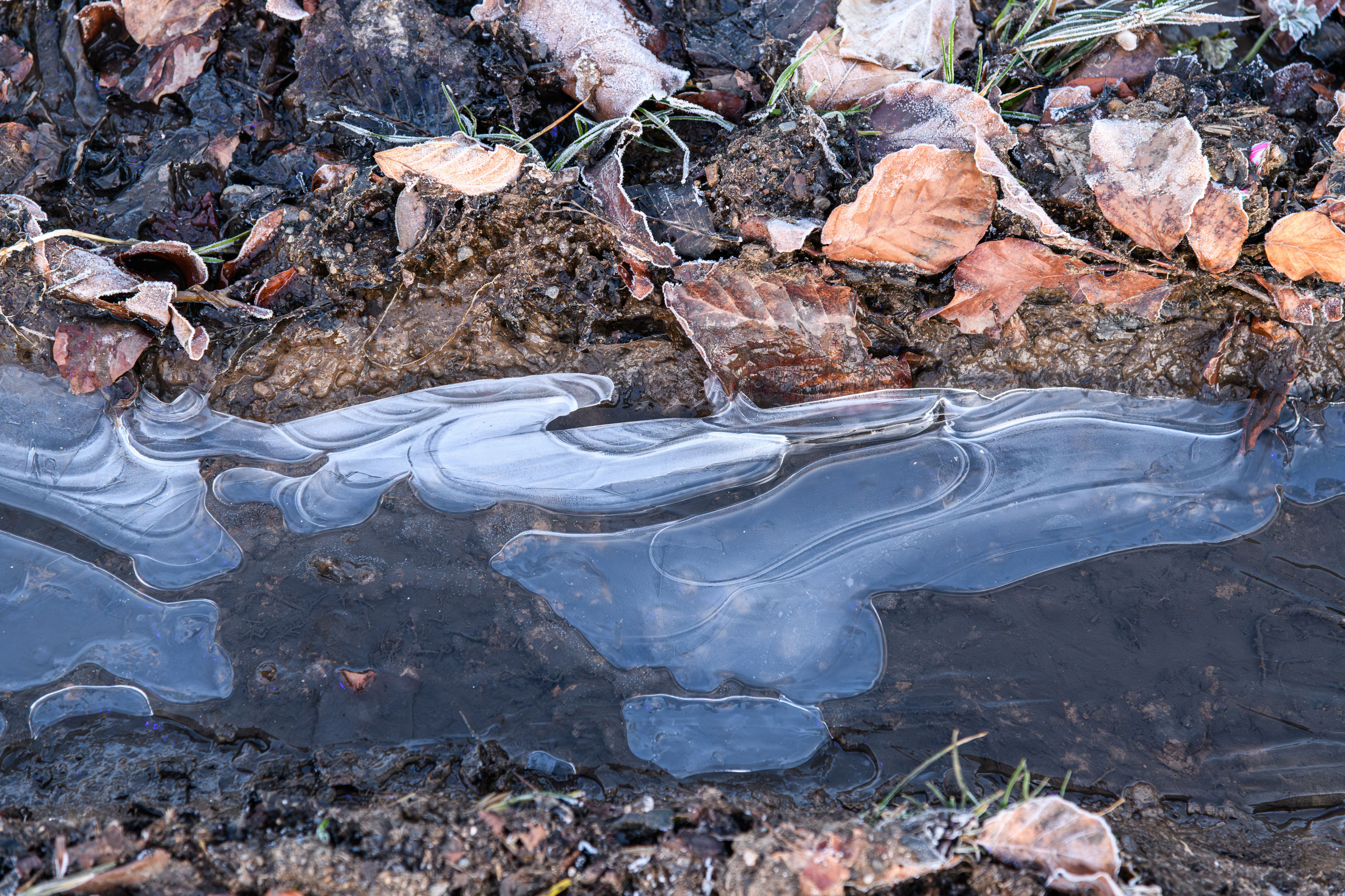 frozen soil ground
