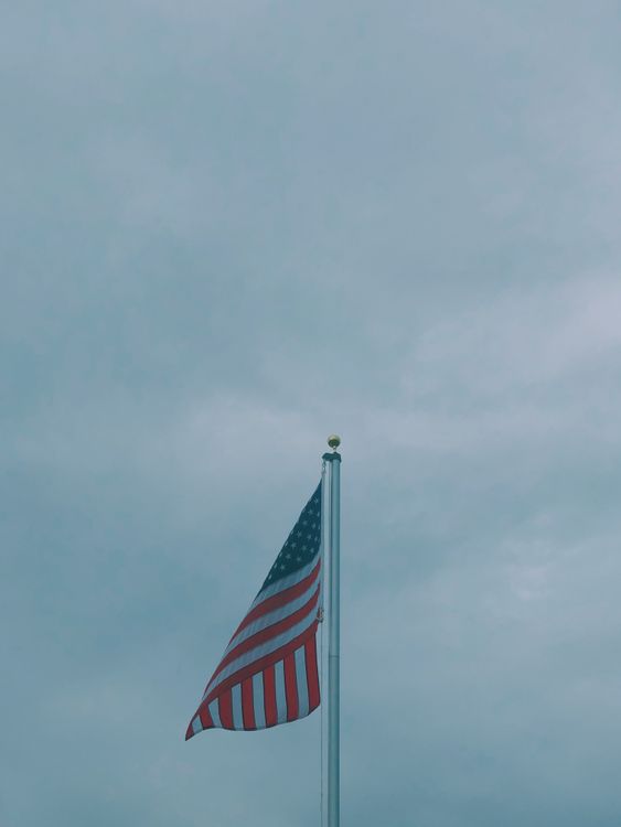 Foto Gratuita Da Nat lia Pexels foto-gratuita-da-nat-lia-pexels