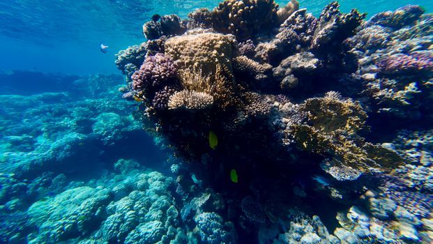 White Canyon desert day — Sharm el-Sheikh