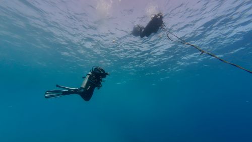 Free Scuba divers exploring the deep blue ocean, showcasing adventure and freedom underwater. Stock Photo