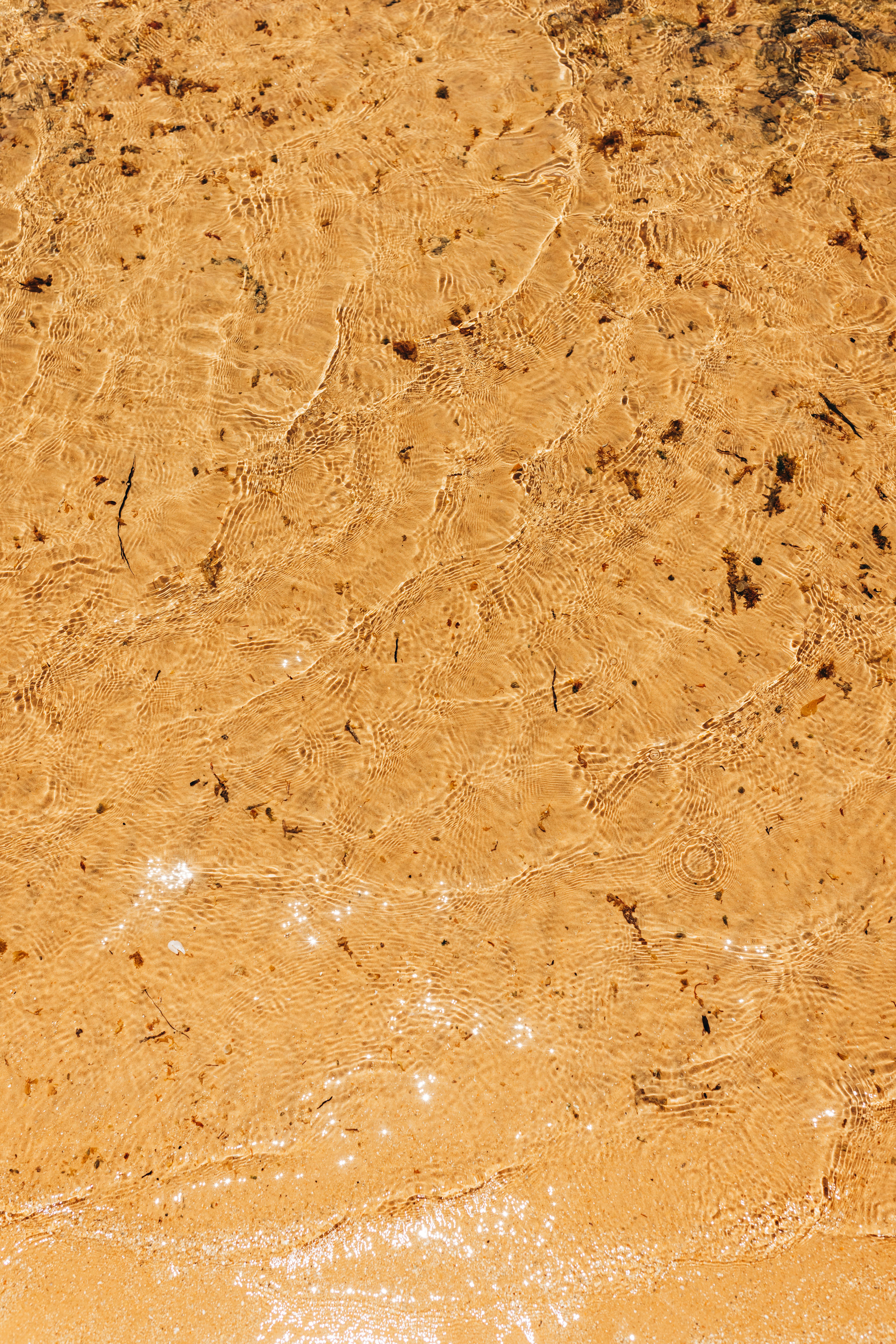 Kostnadsfria Närbild av klart vatten över sandstrand som visar naturliga texturer och mönster. Stock foto