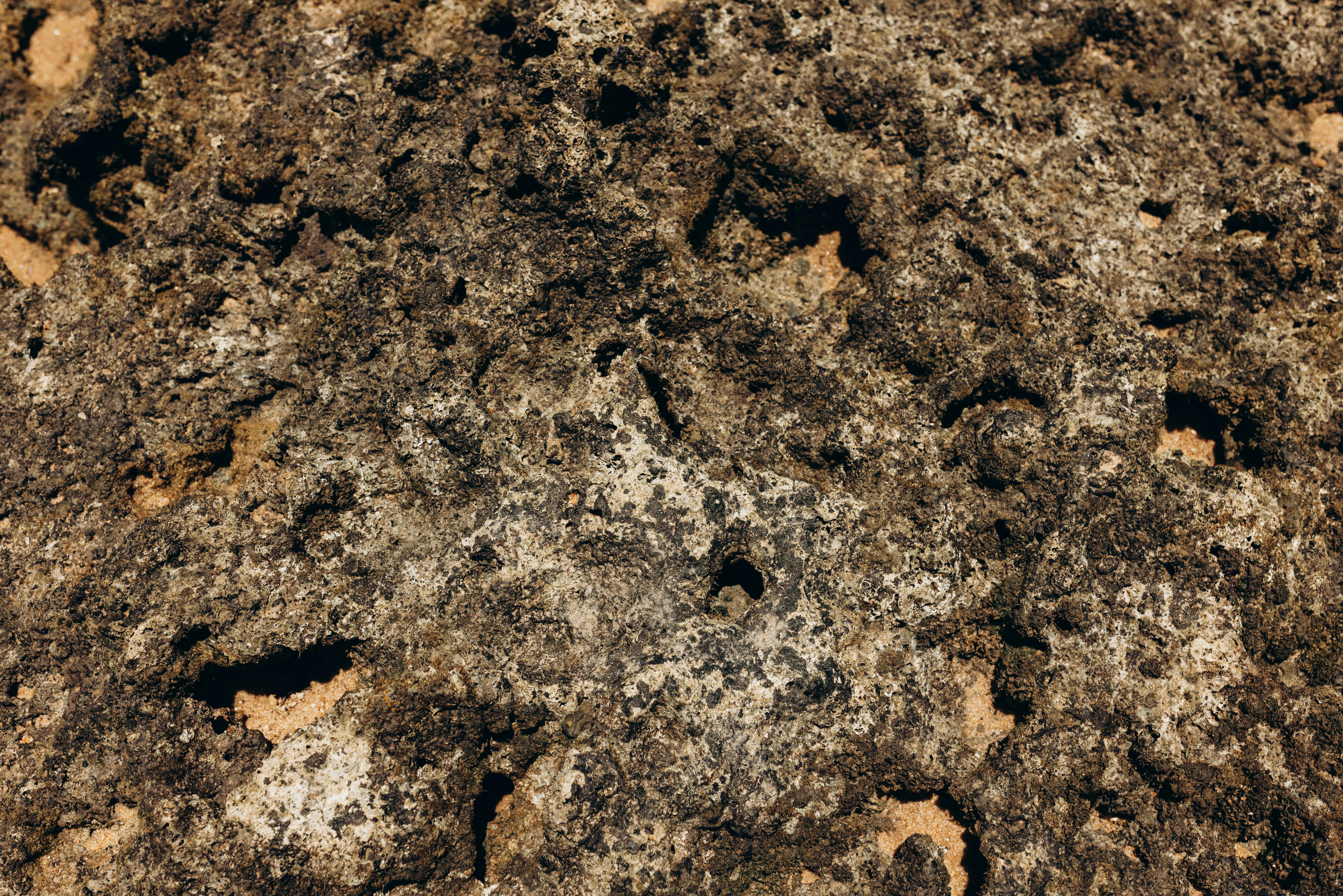 Kostenlos Detailansicht einer rauen, strukturierten Felsoberfläche mit natürlichen Erosionsmustern. Stock-Foto