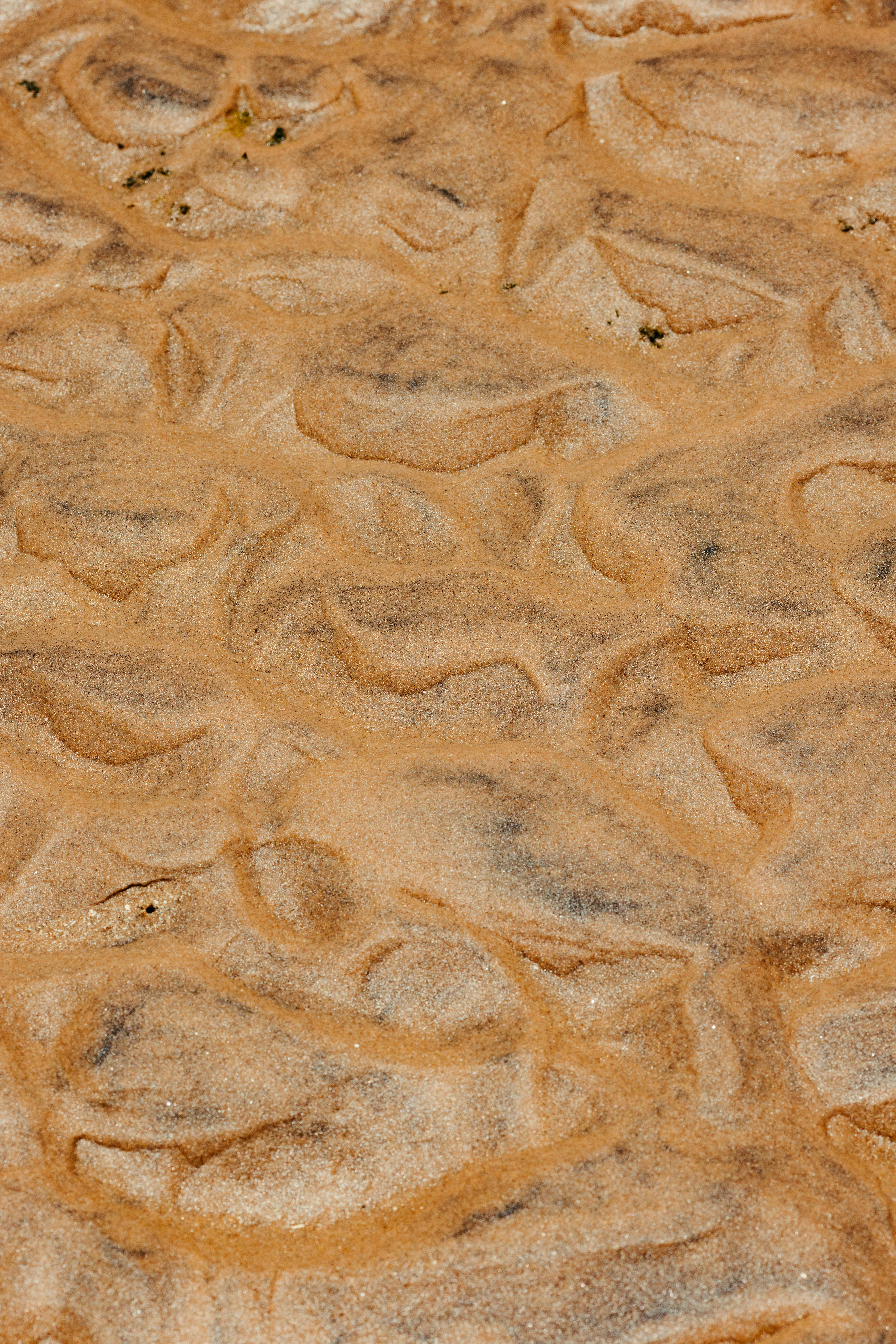 Δωρεάν Κοντινό πλάνο υφασμάτινων μοτίβων άμμου που δημιουργούν ένα φυσικό αφηρημένο σχέδιο στην παραλία. Φωτογραφία από στοκ φωτογραφιών