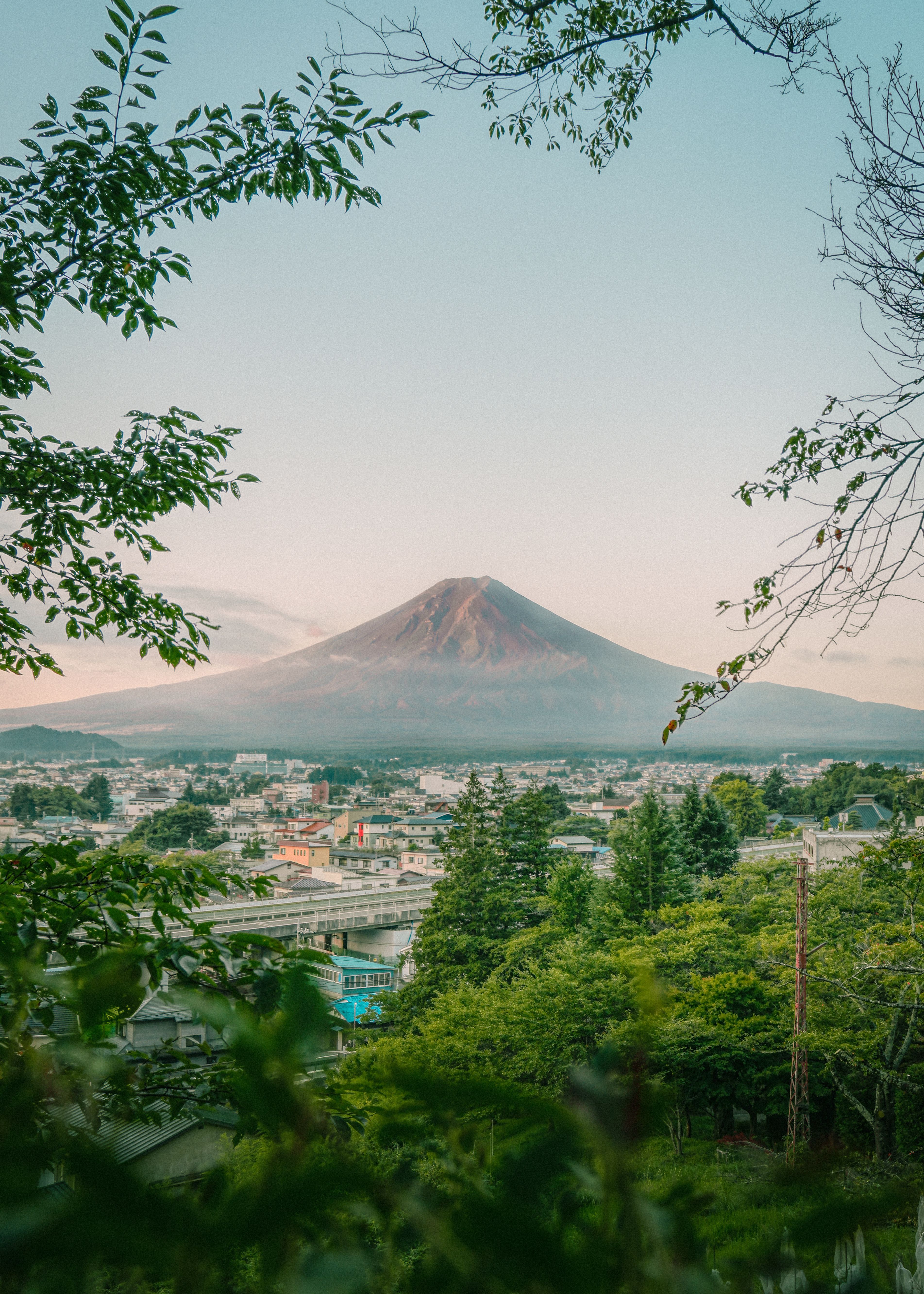 Framed view of Mount Fuji with lush greenery and distant cityscape, capturing natural beauty.