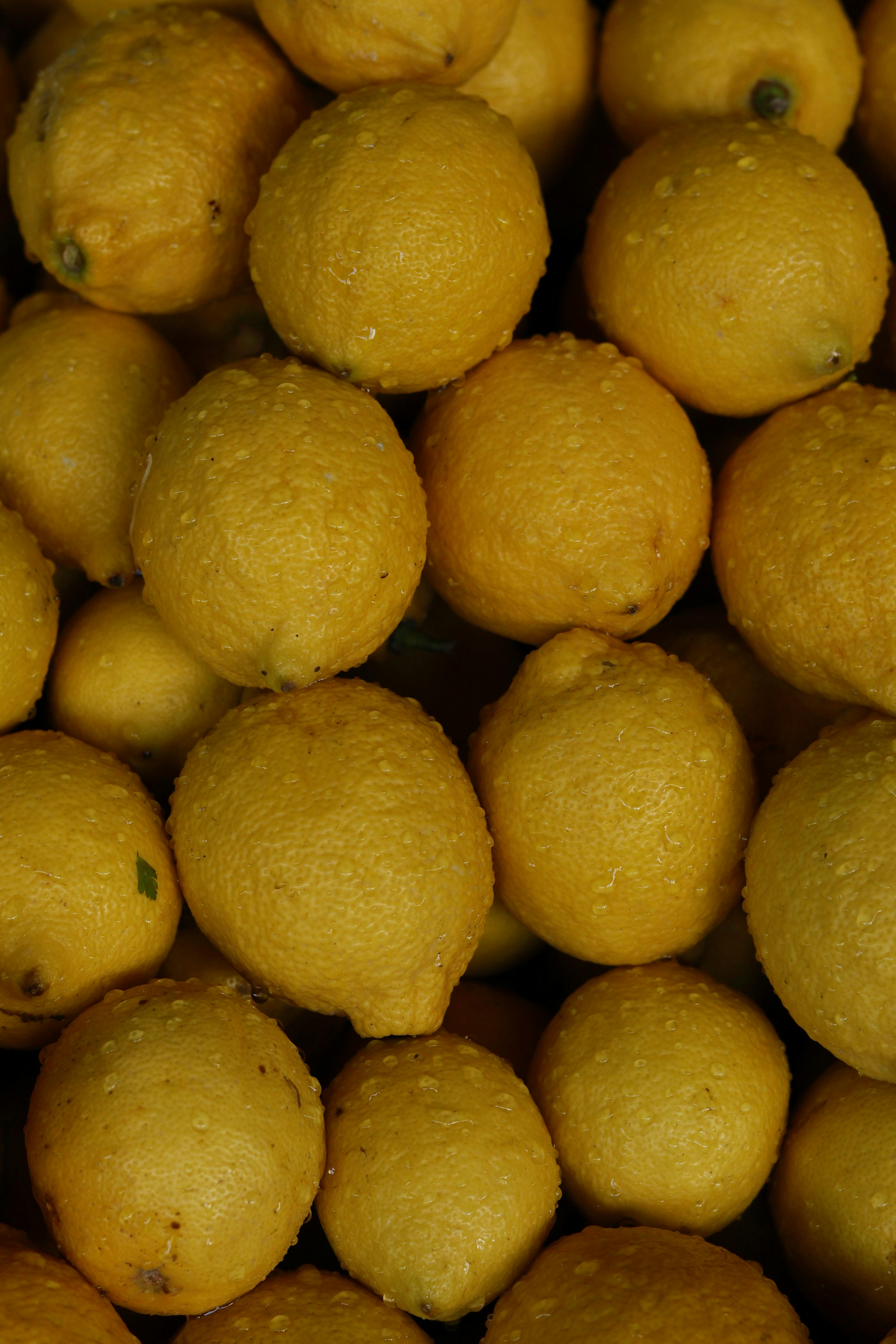 Kostenlos Kostenloses Stock Foto zu aroma, bündel, erfrischend Stock-Foto