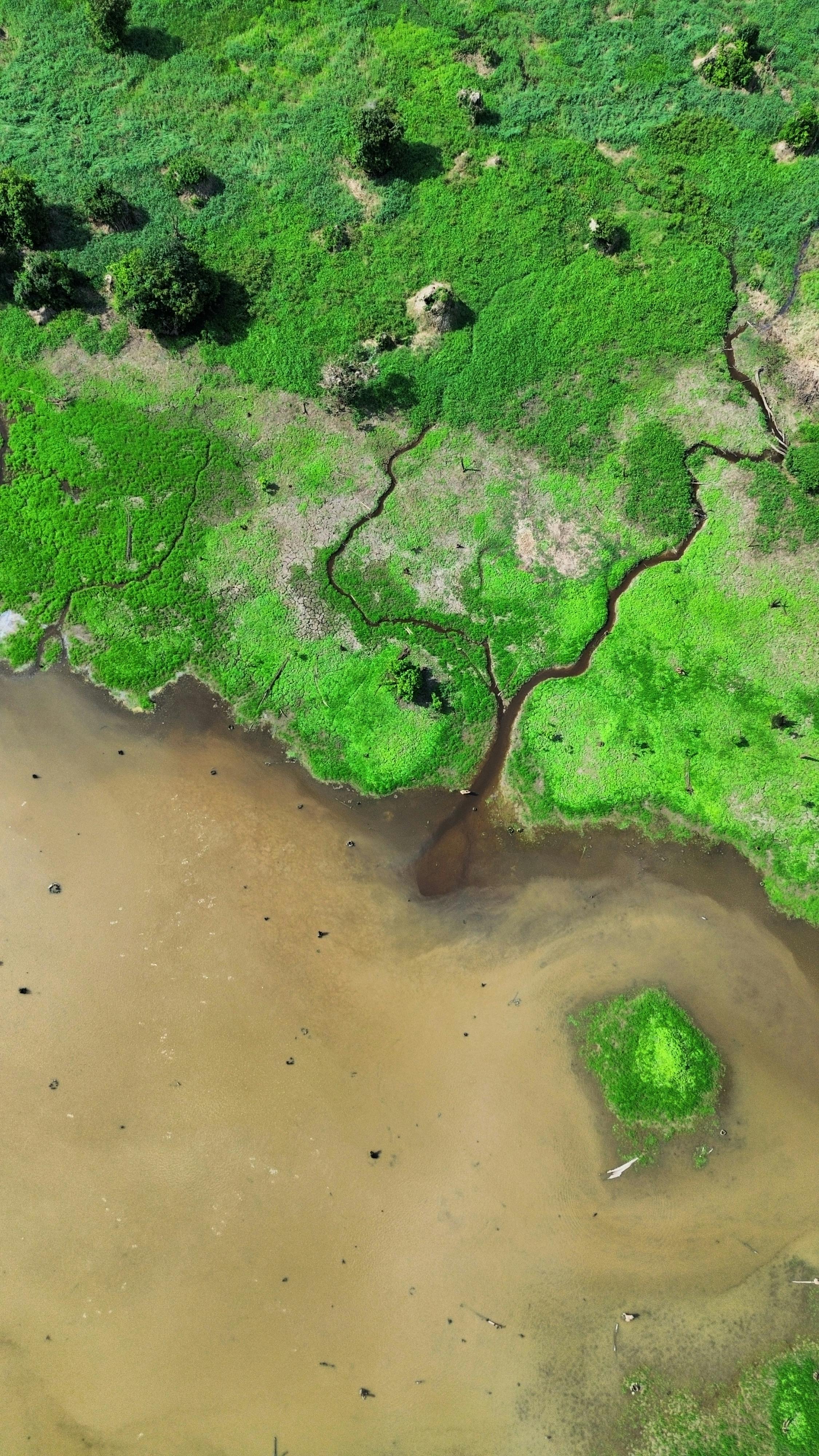 Gratis lagerfoto af @outdoor, antenne, biodiversitet Lagerfoto