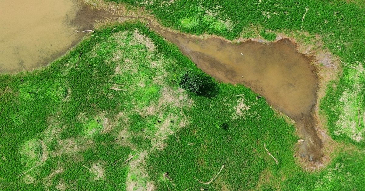 Los conflictos históricos más significativos por recursos naturales Los conflictos históricos más significativos por recursos naturales