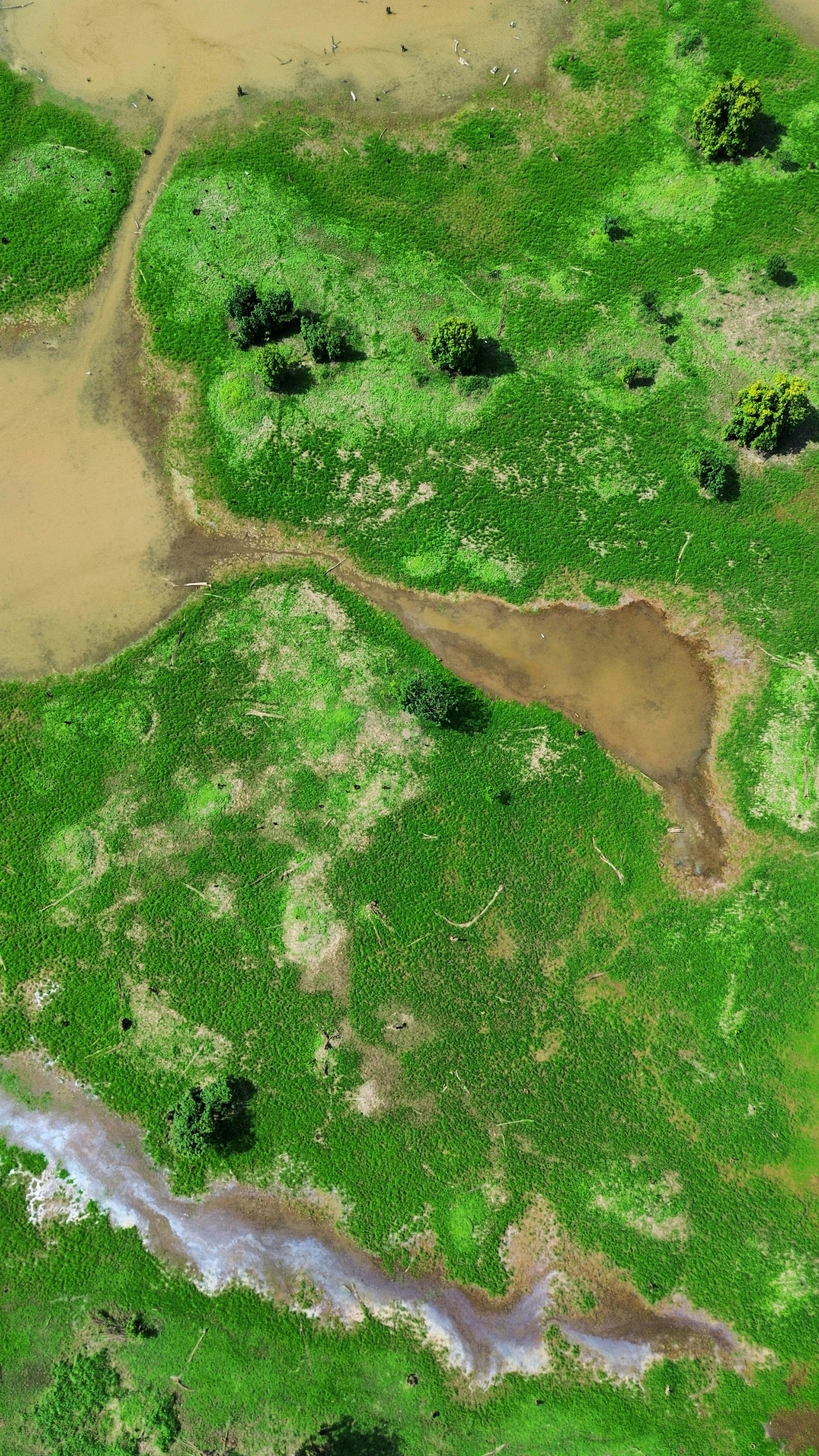 Gratis Fantastisk luftfoto, der indfanger et frodigt grønt landskab med naturlige vandformationer og kontrasterende teksturer. Lagerfoto