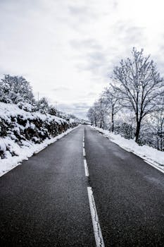 A deserted road lined with snow and bare trees under a cloudy sky, evoking solitude.