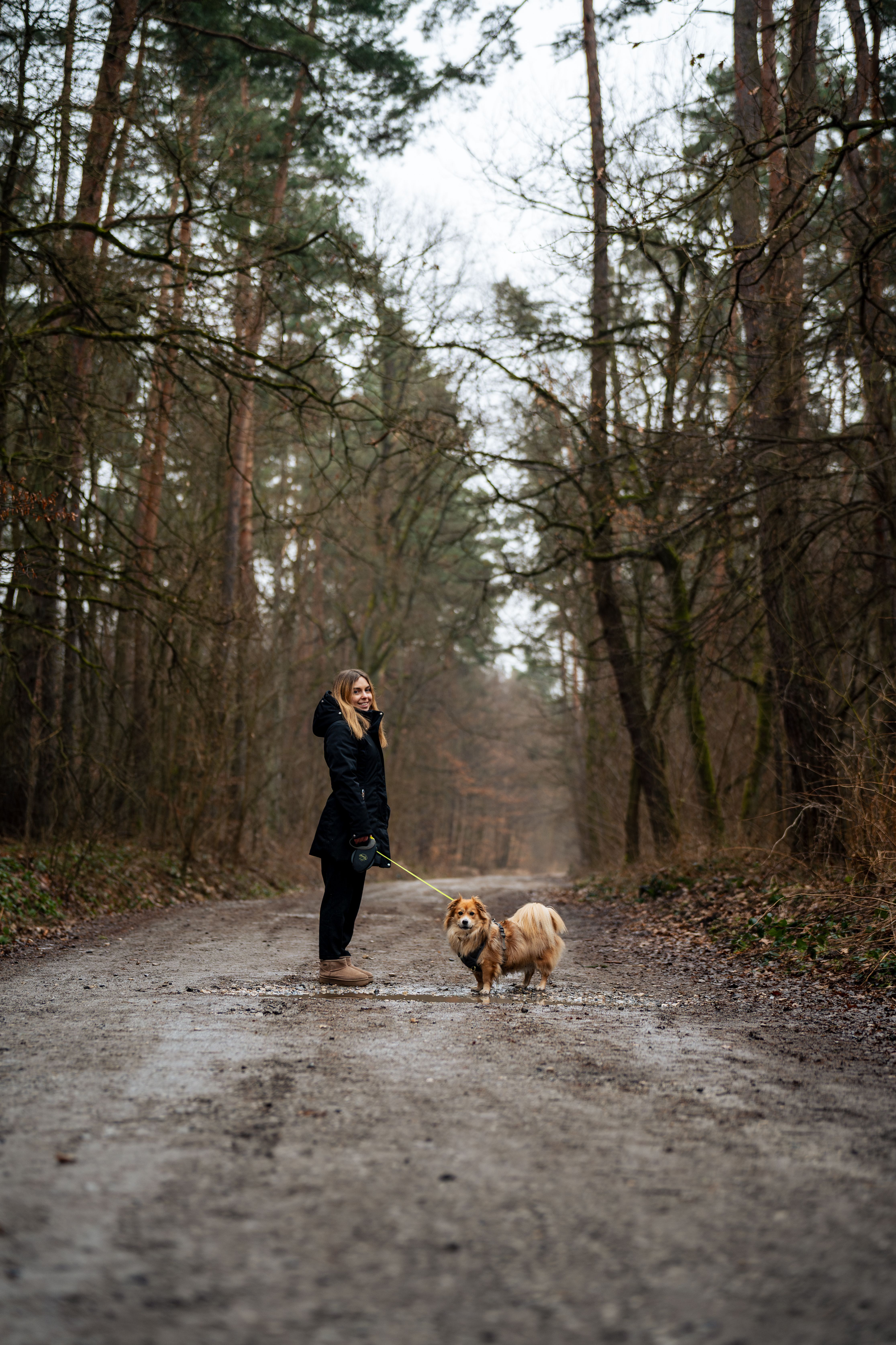 A woman takes a leisurely walk with her dog through a serene forest in Niepołomice, Poland.