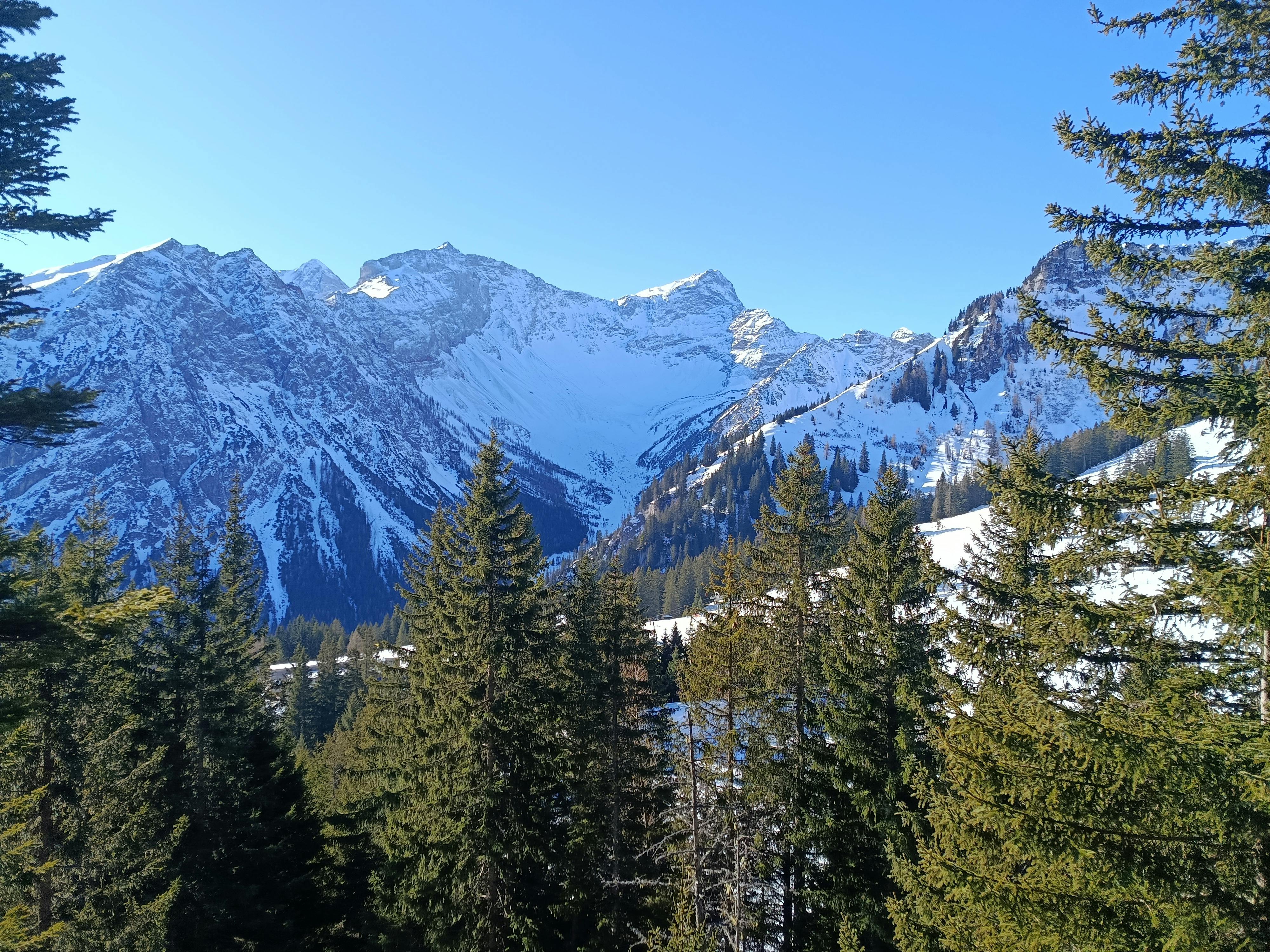 Δωρεάν στοκ φωτογραφιών με αειθαλής, Άλπεις, αλπική περιοχή Φωτογραφία από στοκ φωτογραφιών