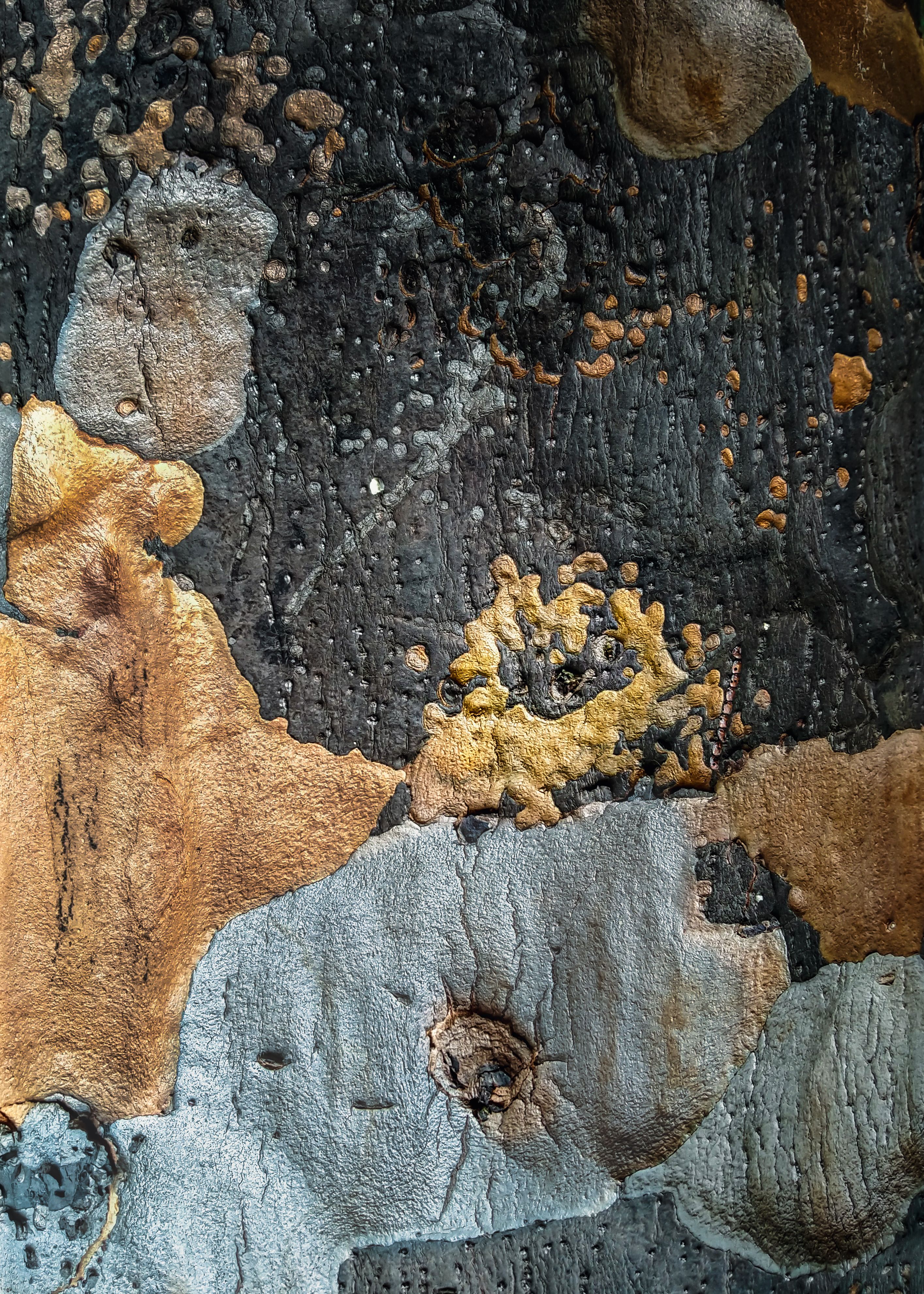 Fotomural Fotolia