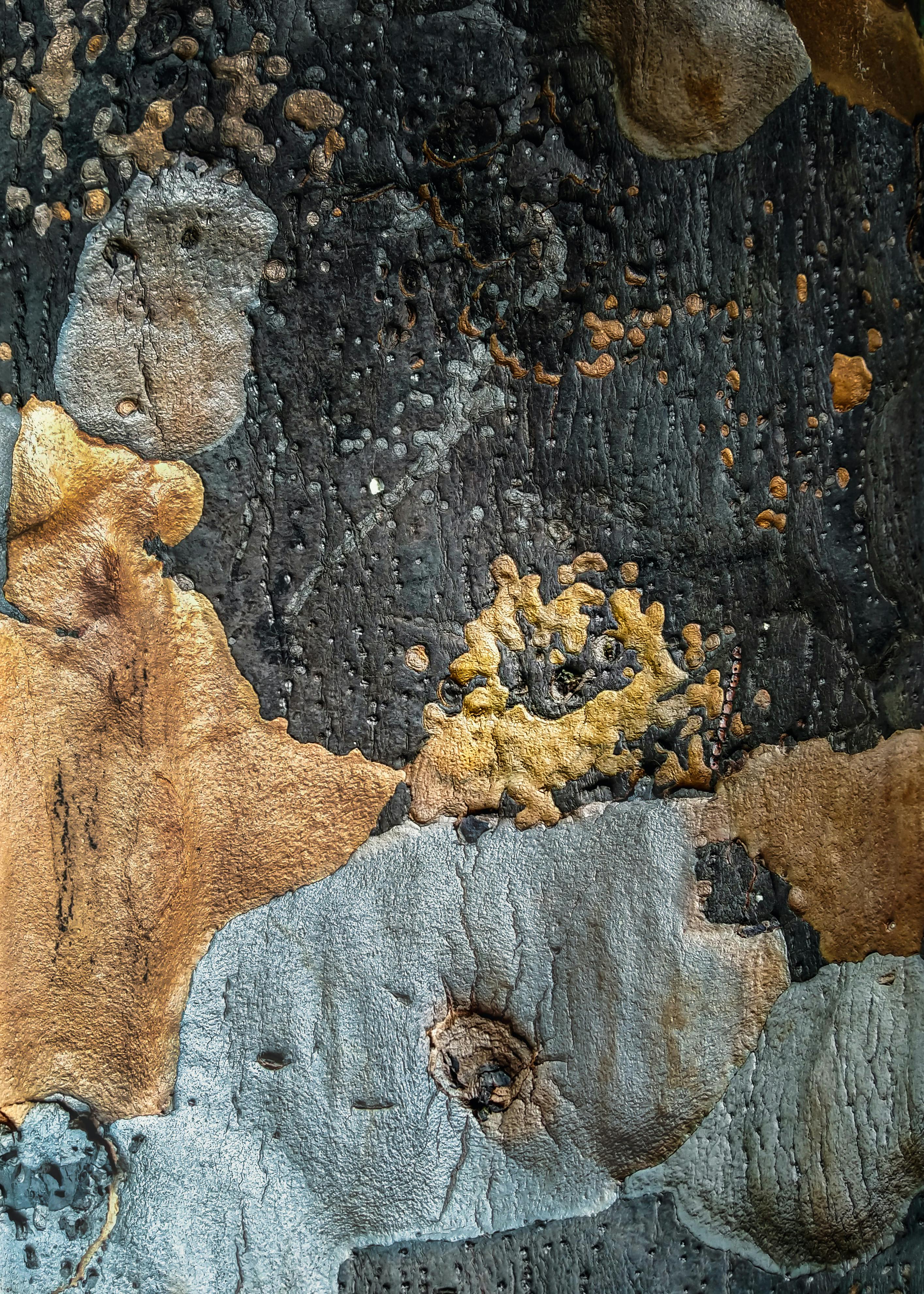 Kostenlos Nahaufnahme einer abstrakten, strukturierten Gesteinsoberfläche mit unterschiedlichen Farben und Mustern, die einen eindrucksvollen visuellen Effekt erzeugt. Stock-Foto