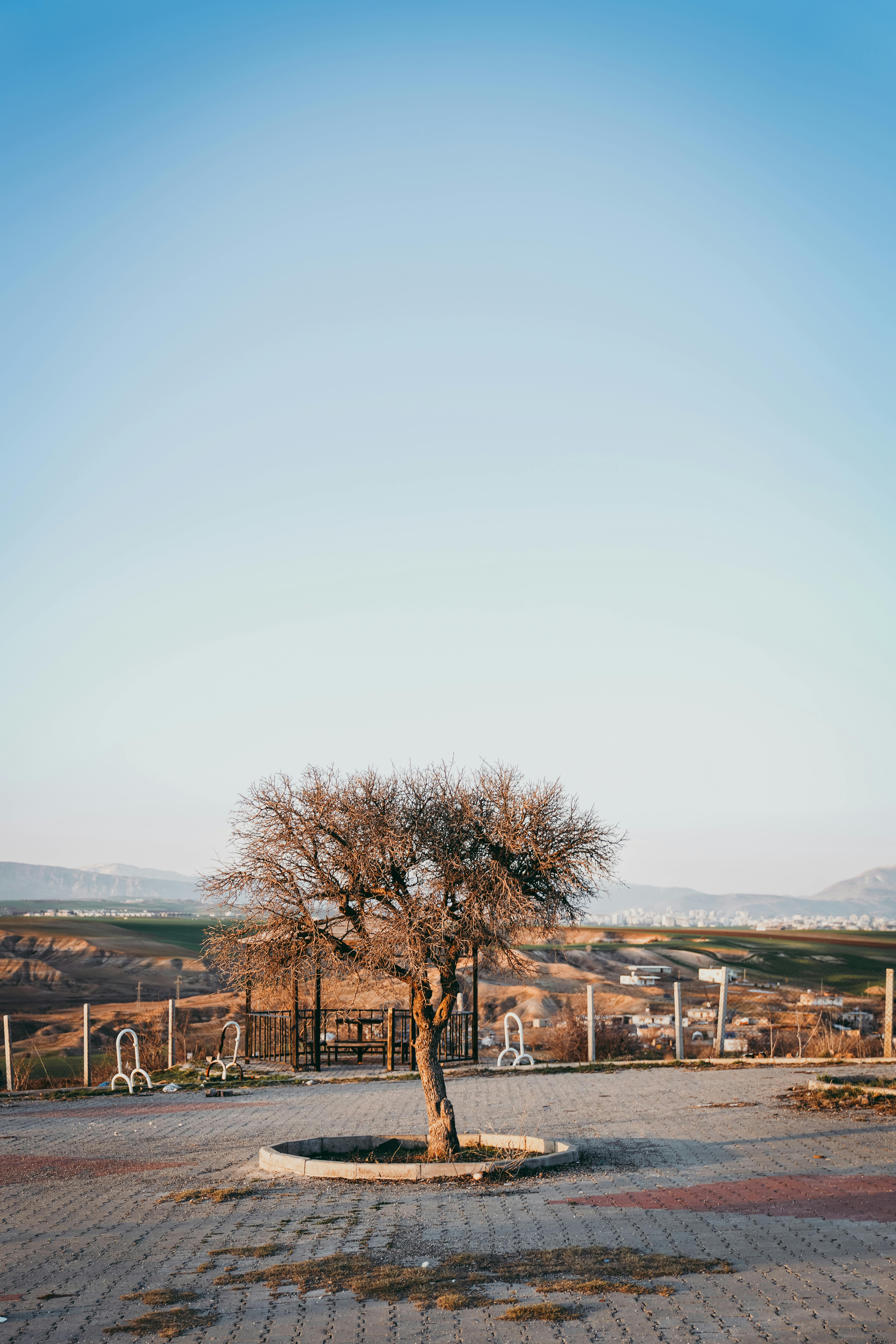 бесплатная В пустынном парке, под ярко-голубым небом, на фоне далеких холмов, стоит одинокое дерево. Стоковое фото