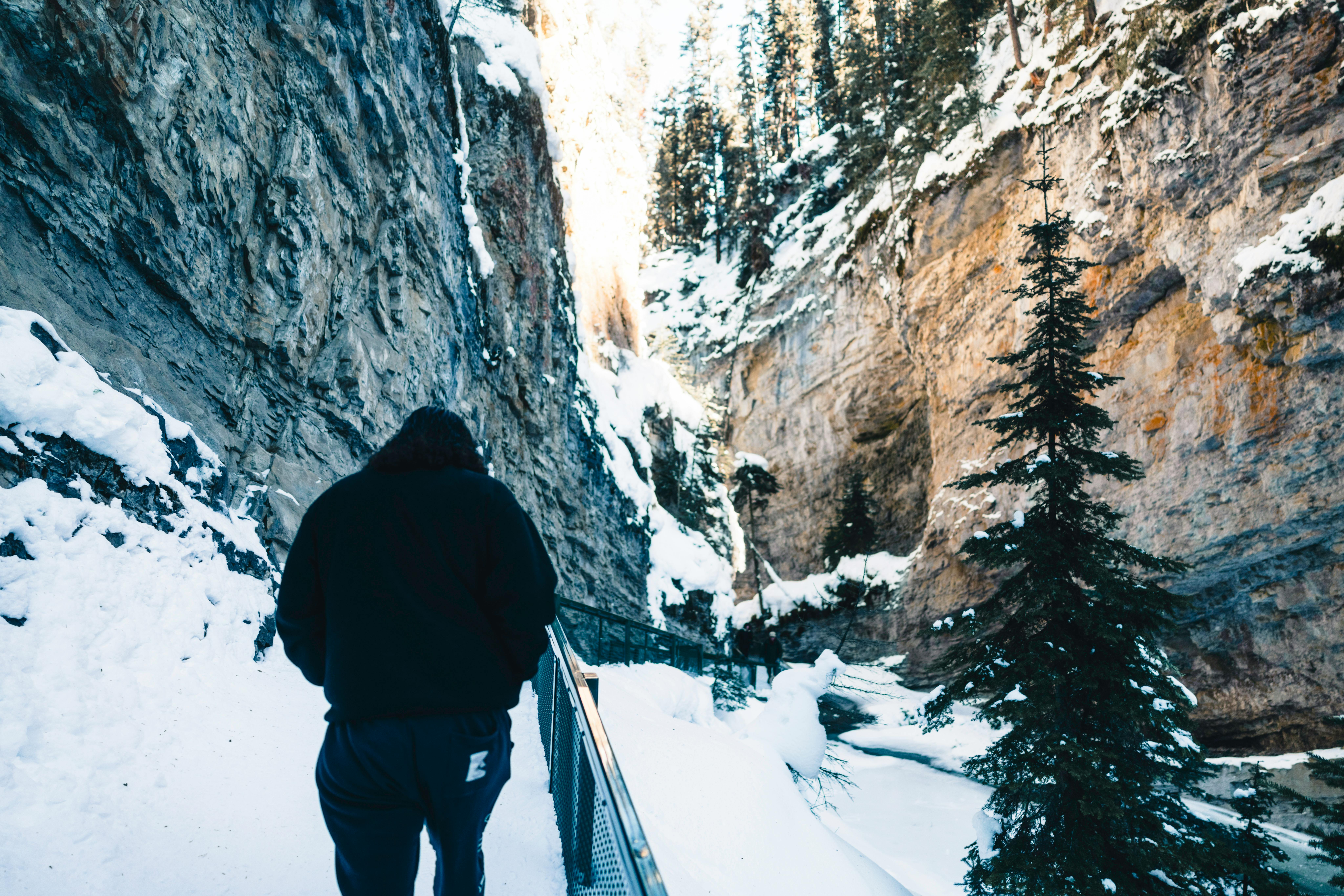 Gratis En person vandrer gennem den snedækkede Johnston Canyon i Banff Nationalpark om vinteren. Lagerfoto