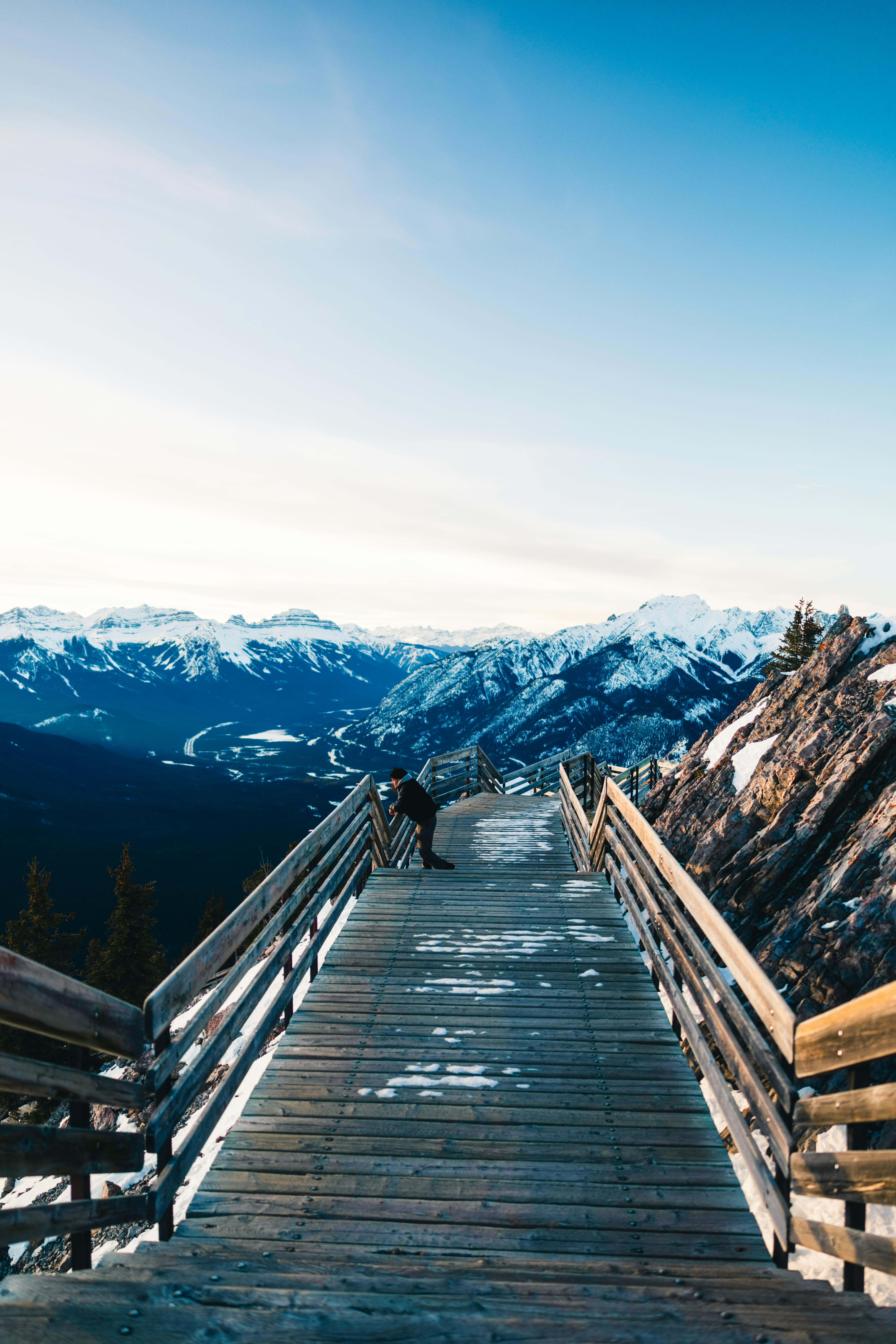 Gratis Majestetisk fjellutsikt fra en snødekt tresti i Banff nasjonalpark, Alberta. Arkivbilde