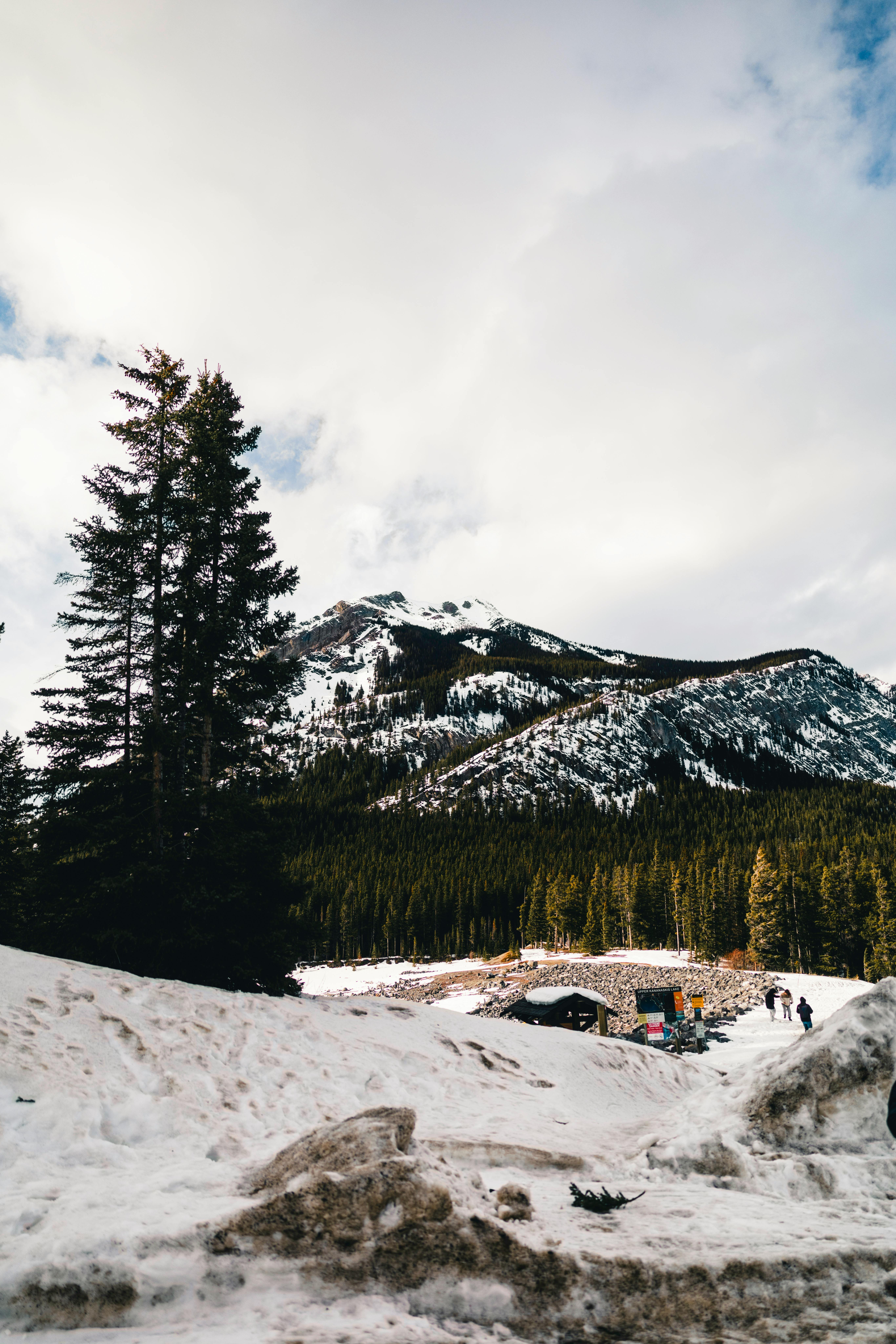 Δωρεάν Εξερευνήστε την γαλήνια ομορφιά του Μπανφ με τα χιονισμένα βουνά και τα καταπράσινα δάση στην Αλμπέρτα του Καναδά. Φωτογραφία από στοκ φωτογραφιών