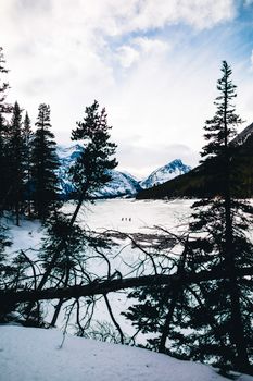 Scenic winter view of snow-covered mountains and trees in Banff, Alberta.