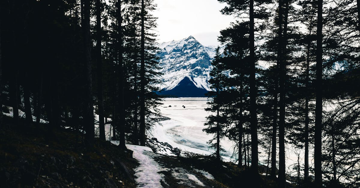 Les Plus Beaux Parcs Nationaux à Visiter en France