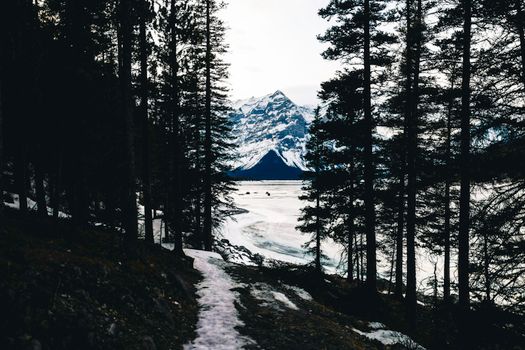 Discover the serene beauty of a snowy trail amidst Banff's majestic landscapes.