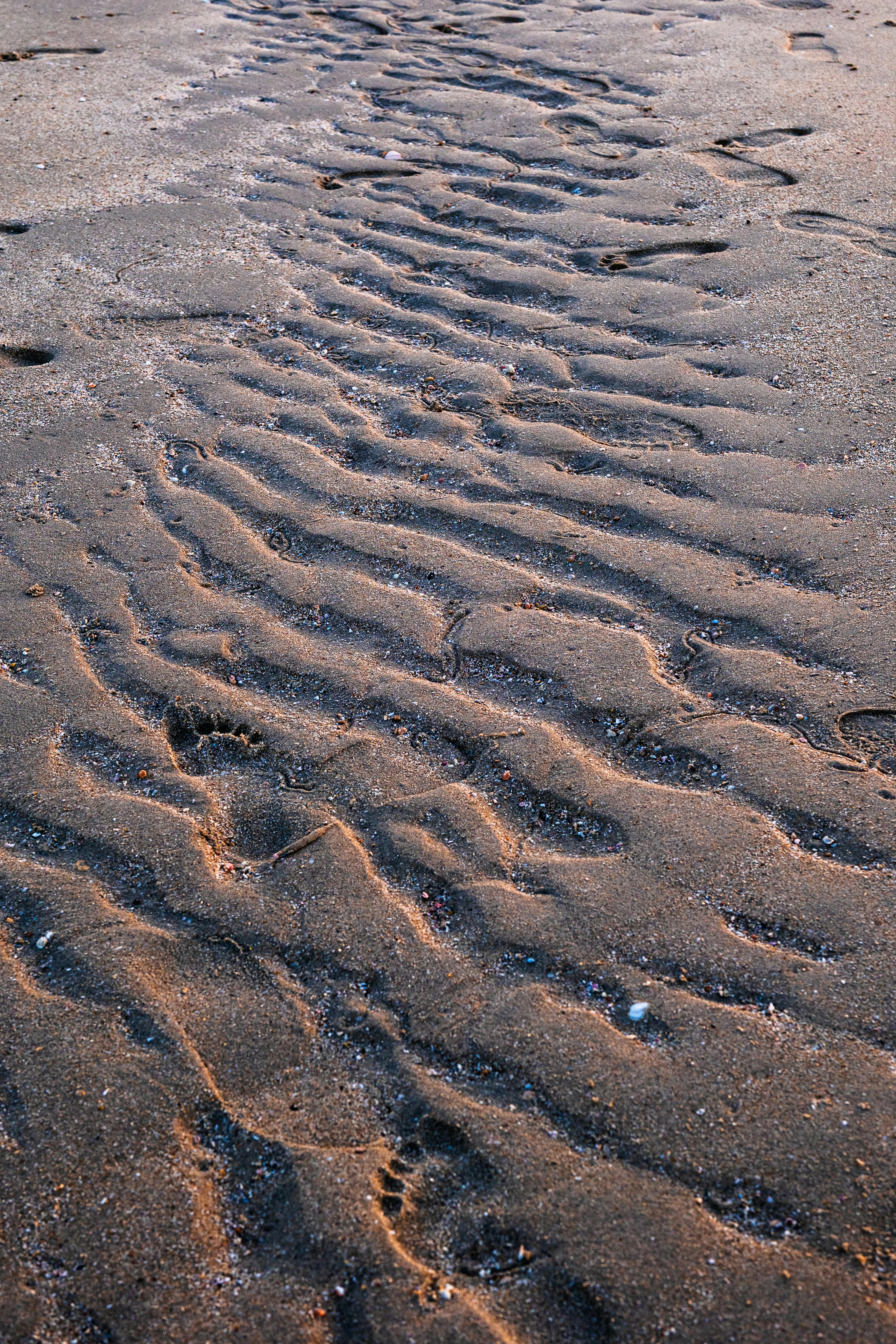 Δωρεάν Κοντινό πλάνο κυματιστών μοτίβων στην άμμο σε μια παραλία στο Κουβέιτ, που αναδεικνύει τις φυσικές κυματιστές υφές. Φωτογραφία από στοκ φωτογραφιών