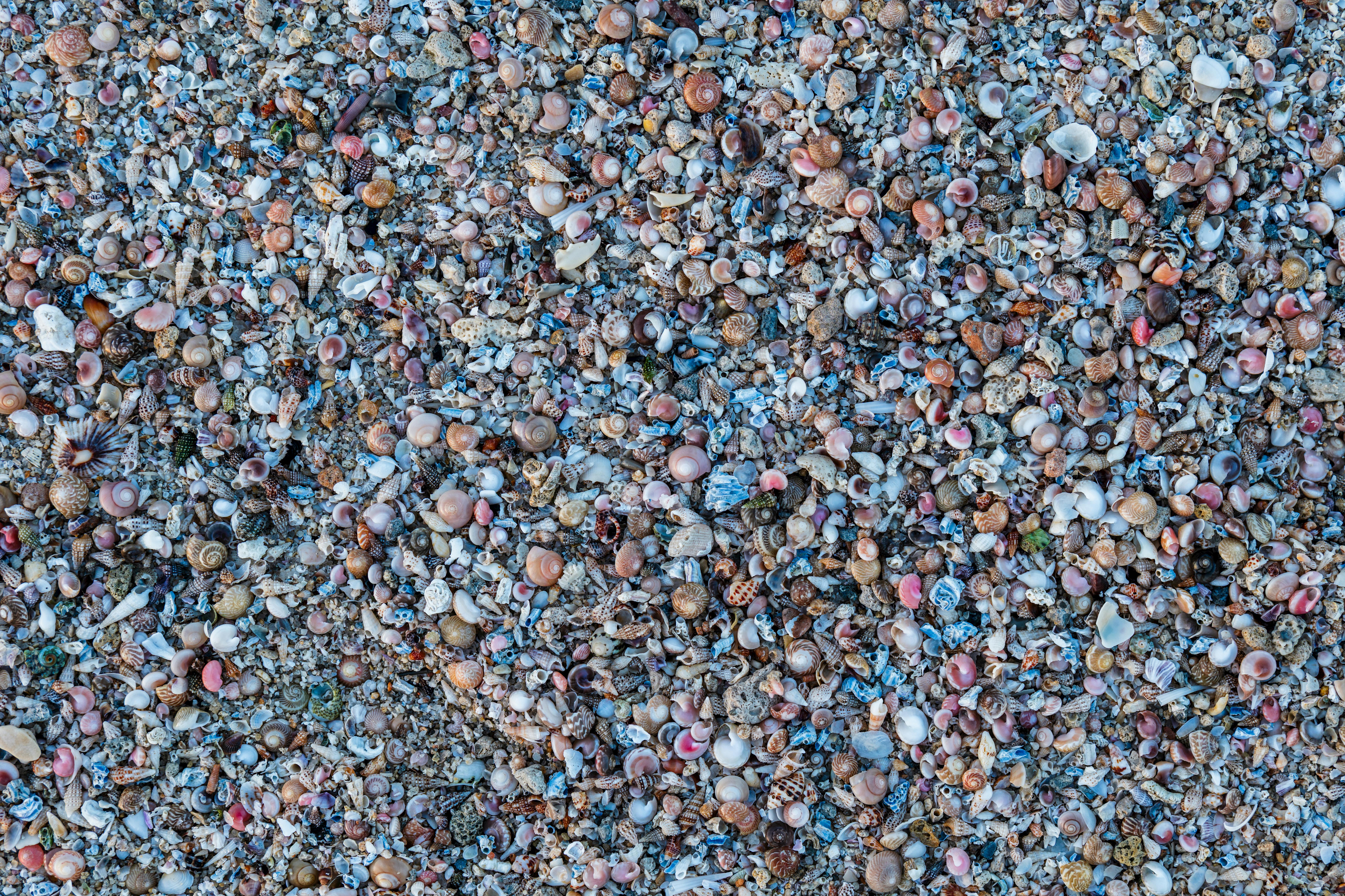 無料 アジア, カラフル, クウェートの無料の写真素材 写真素材