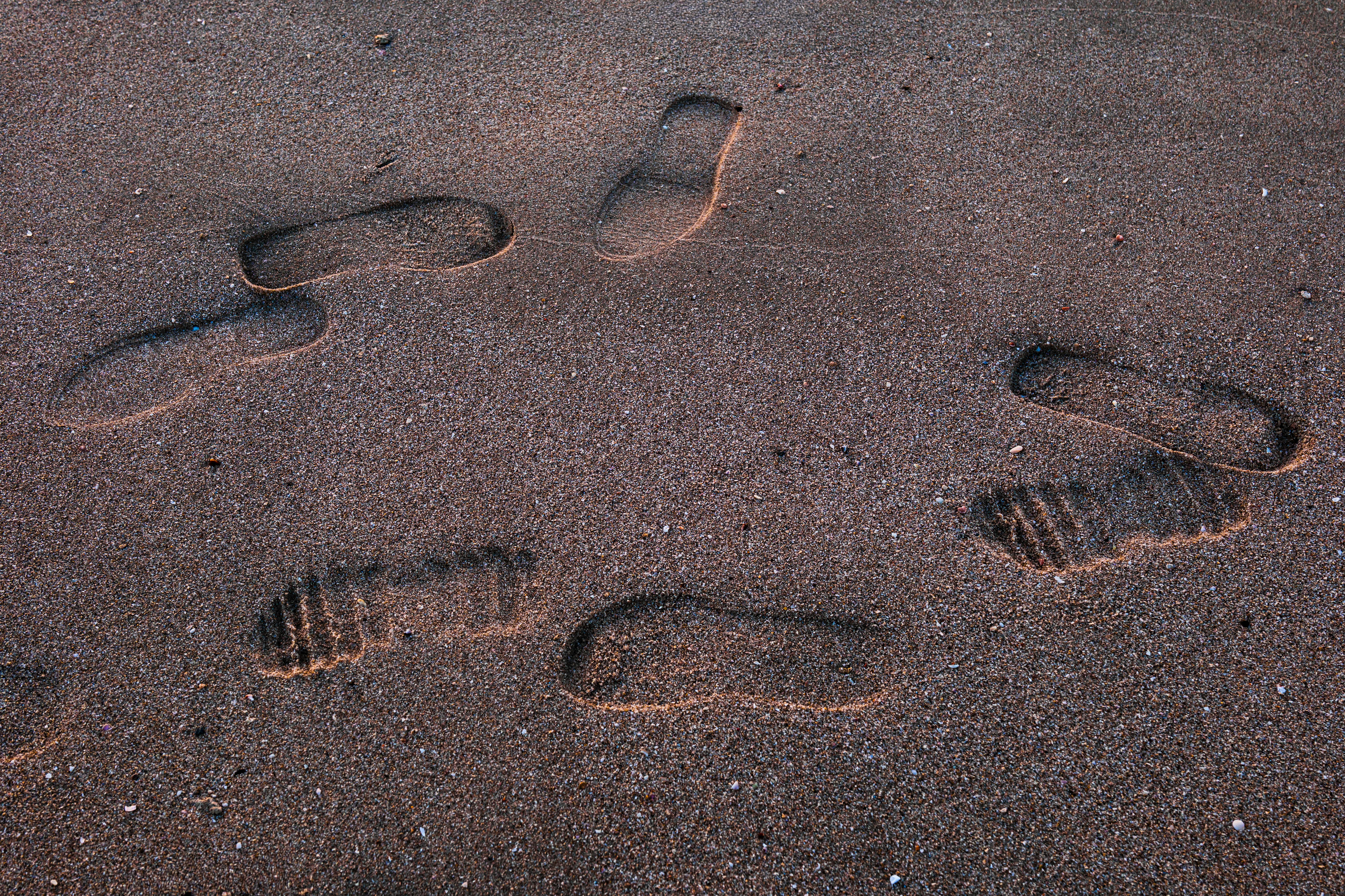 Δωρεάν Ίχνη σκορπισμένα στην αμμώδη παραλία στο Κουβέιτ, απαθανατισμένα κατά τη διάρκεια του ηλιοβασιλέματος. Φωτογραφία από στοκ φωτογραφιών