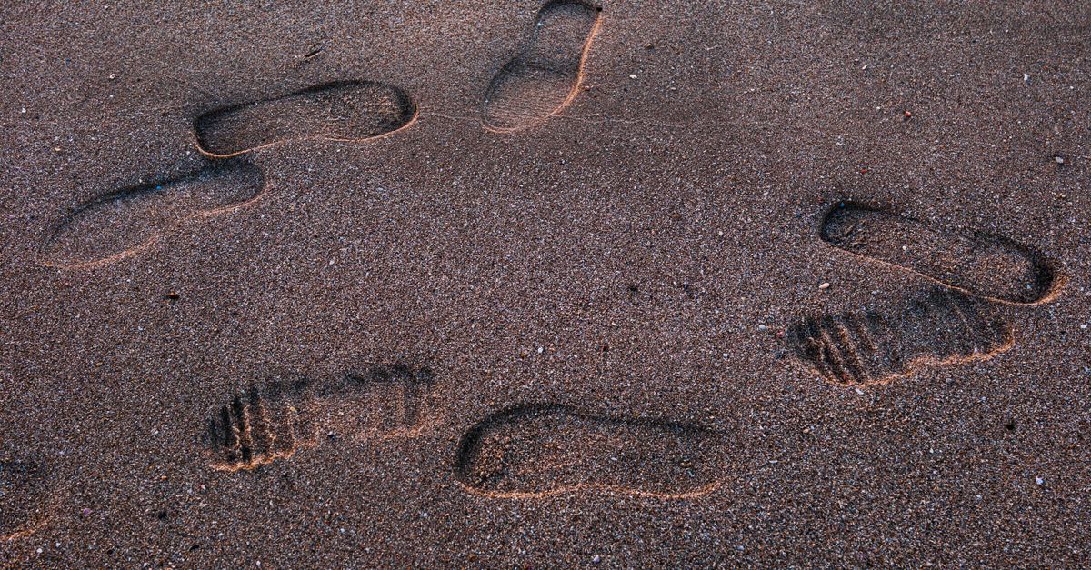 t-rex footprints