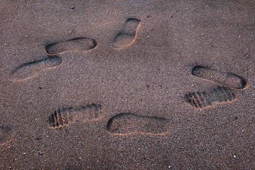 漫画或动画中鸵鸟埋沙的搞笑形象