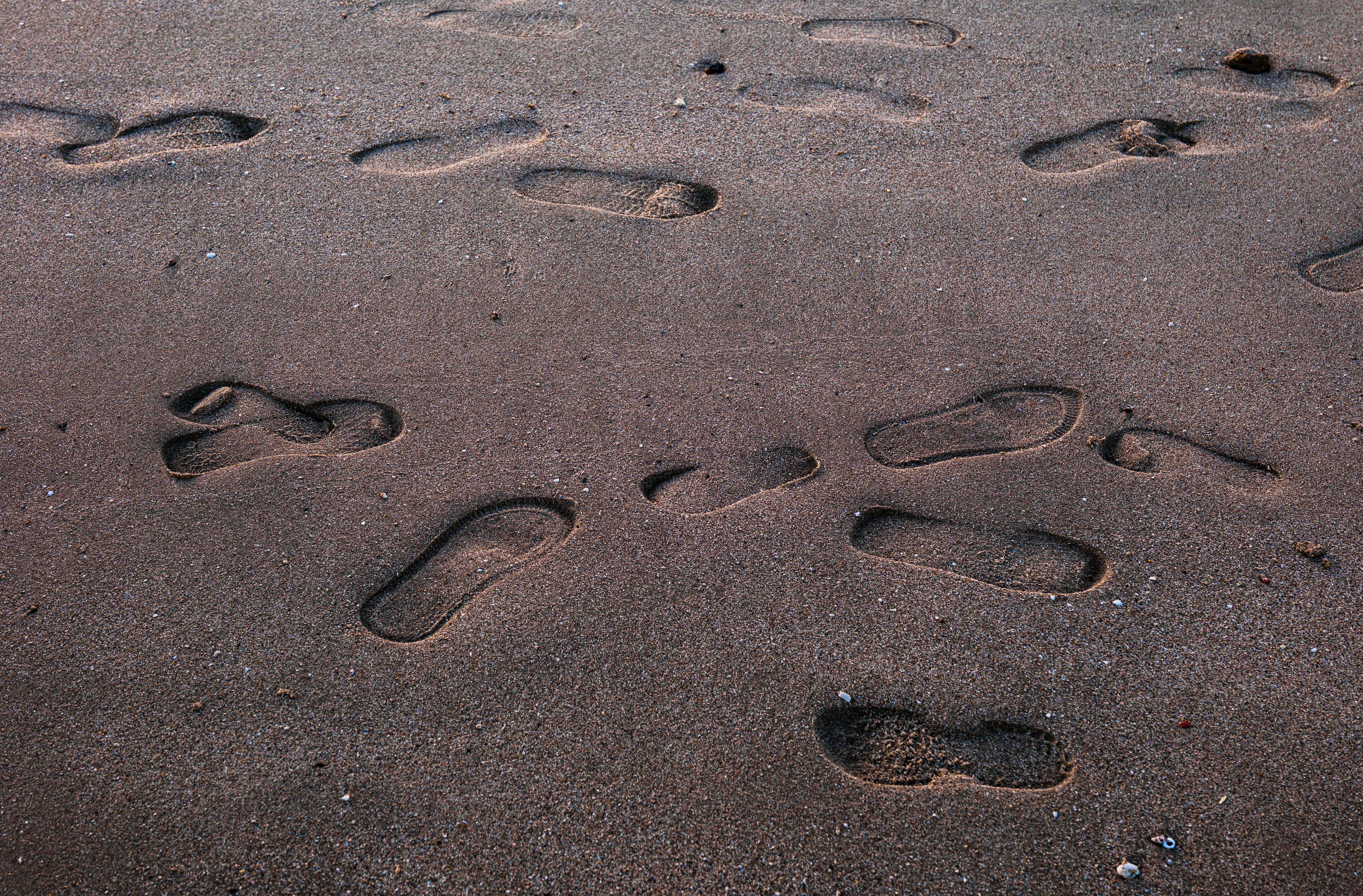 Δωρεάν στοκ φωτογραφιών με αδειάζω, ακτή, ακτογραμμή Φωτογραφία από στοκ φωτογραφιών