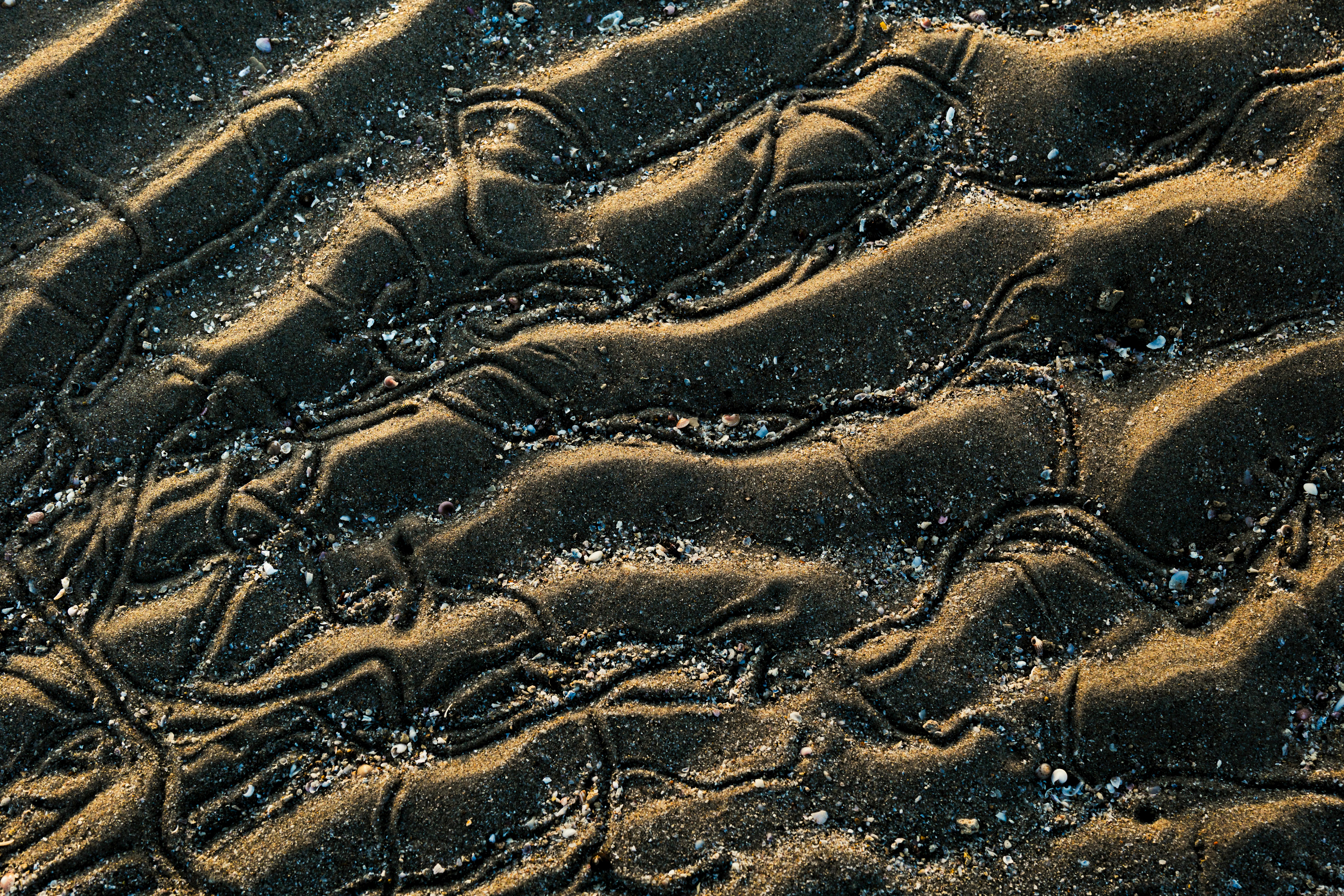 Zadarmo Detailné abstraktné vzory v piesku, zachytené na pláži v Kuvajte, predstavujúce umelecké dielo prírody. Fotka z fotobanky