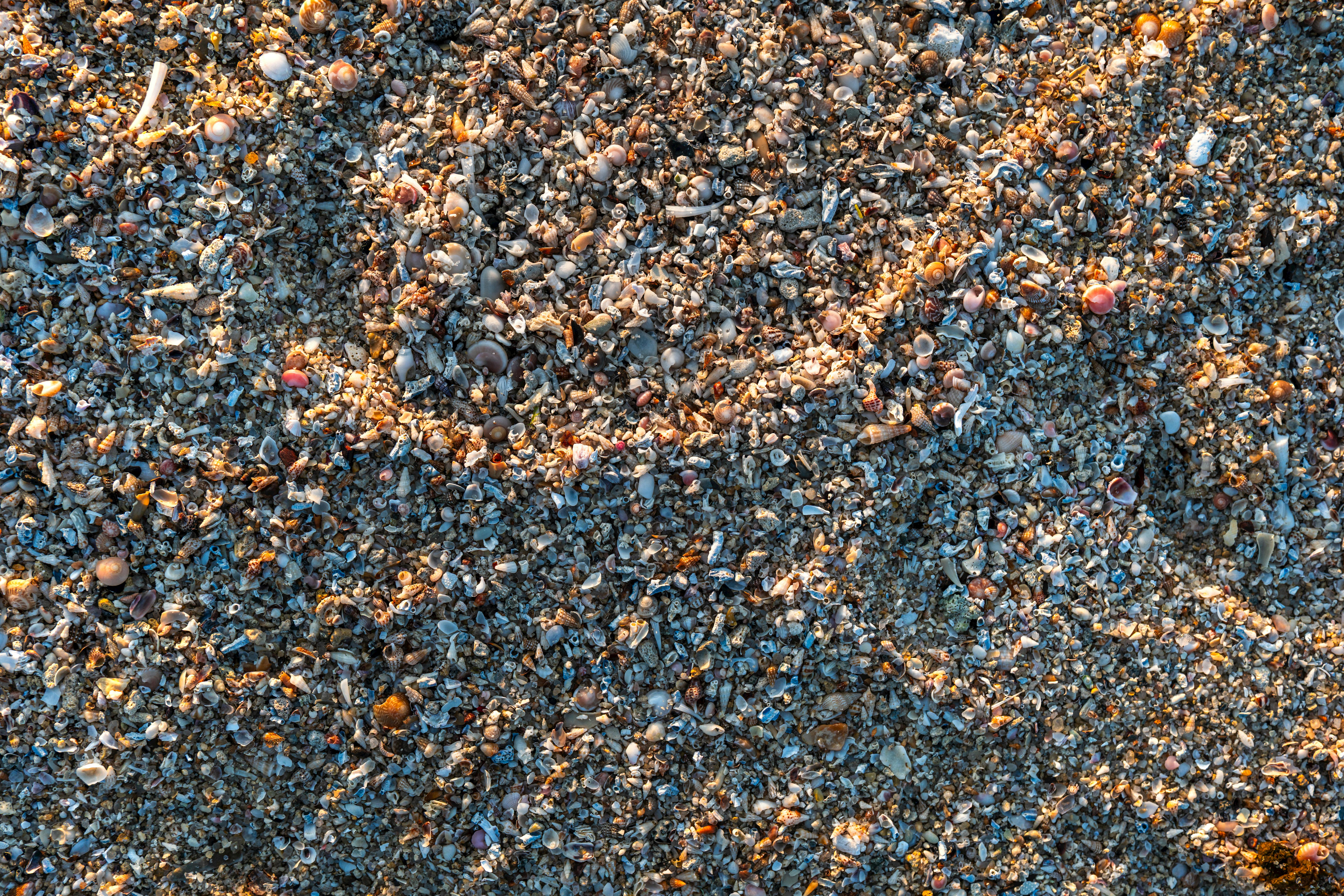 Δωρεάν στοκ φωτογραφιών με background, ακτή, ακτογραμμή Φωτογραφία από στοκ φωτογραφιών