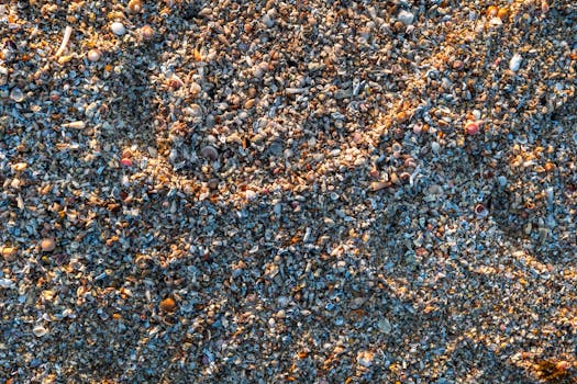 Colorful textured seashell sand close-up on a beach in Kuwait, showcasing natural beauty.