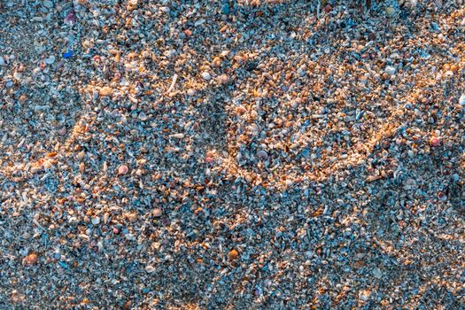 Detailed view of beach sand mixed with seashells in Kuwait during daylight.