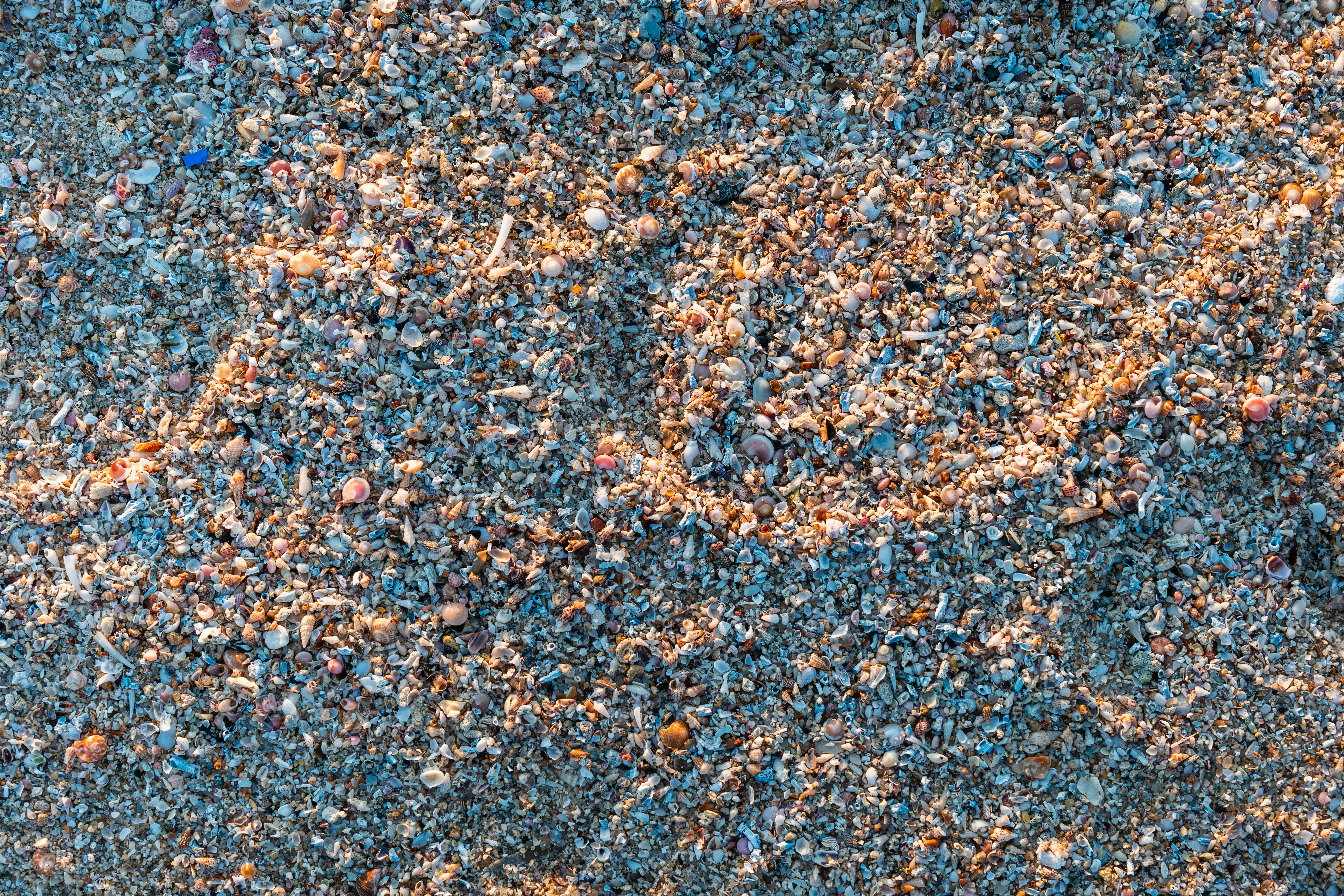 Gratuit Vue détaillée du sable de plage mêlé de coquillages au Koweït en plein jour. Photos