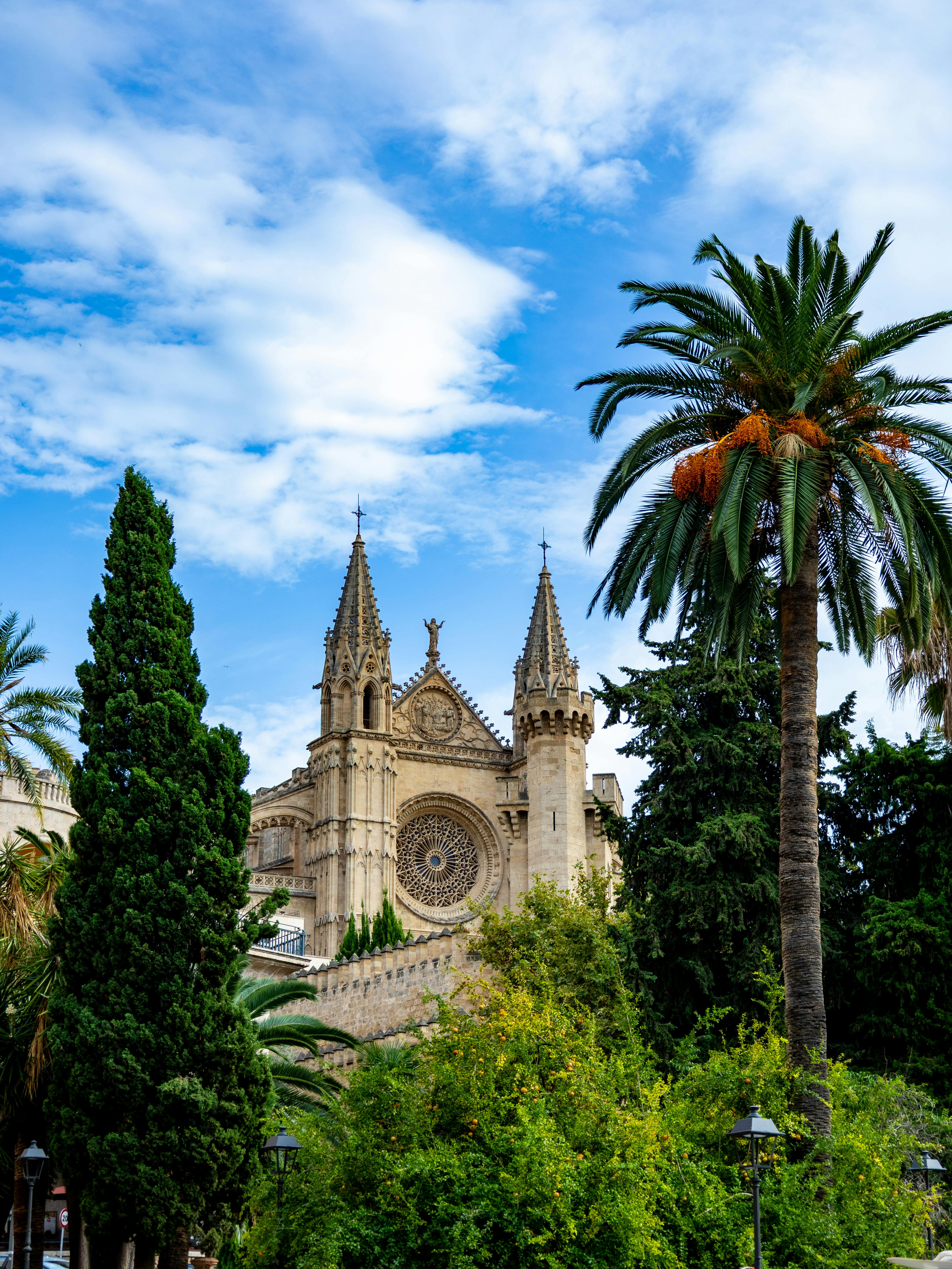 Gratis Majestætiske Palma Katedral Under Blå Himmel Lagerfoto