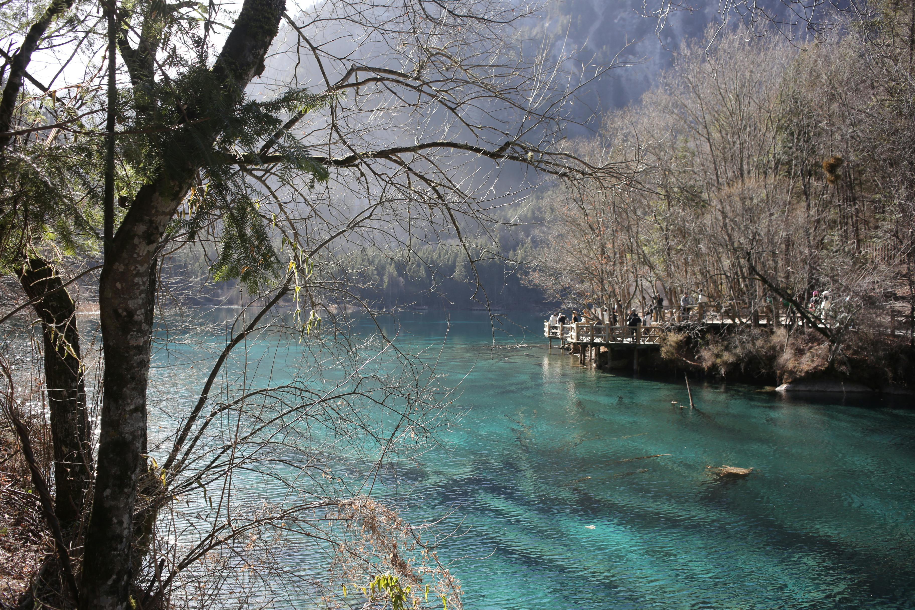 Kostenlos Ruhiger, türkisfarbener See, umgeben von Bäumen in einer idyllischen Waldlandschaft mit einem Holzsteg. Stock-Foto
