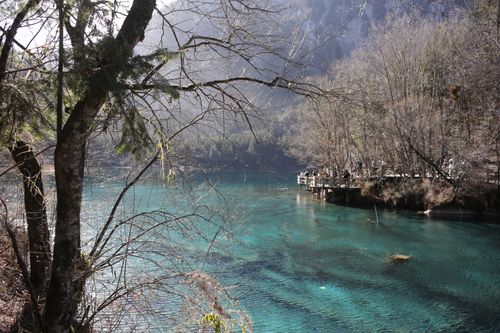 Free Tranquil turquoise lake surrounded by trees in a serene forest landscape with a wooden walkway. Stock Photo